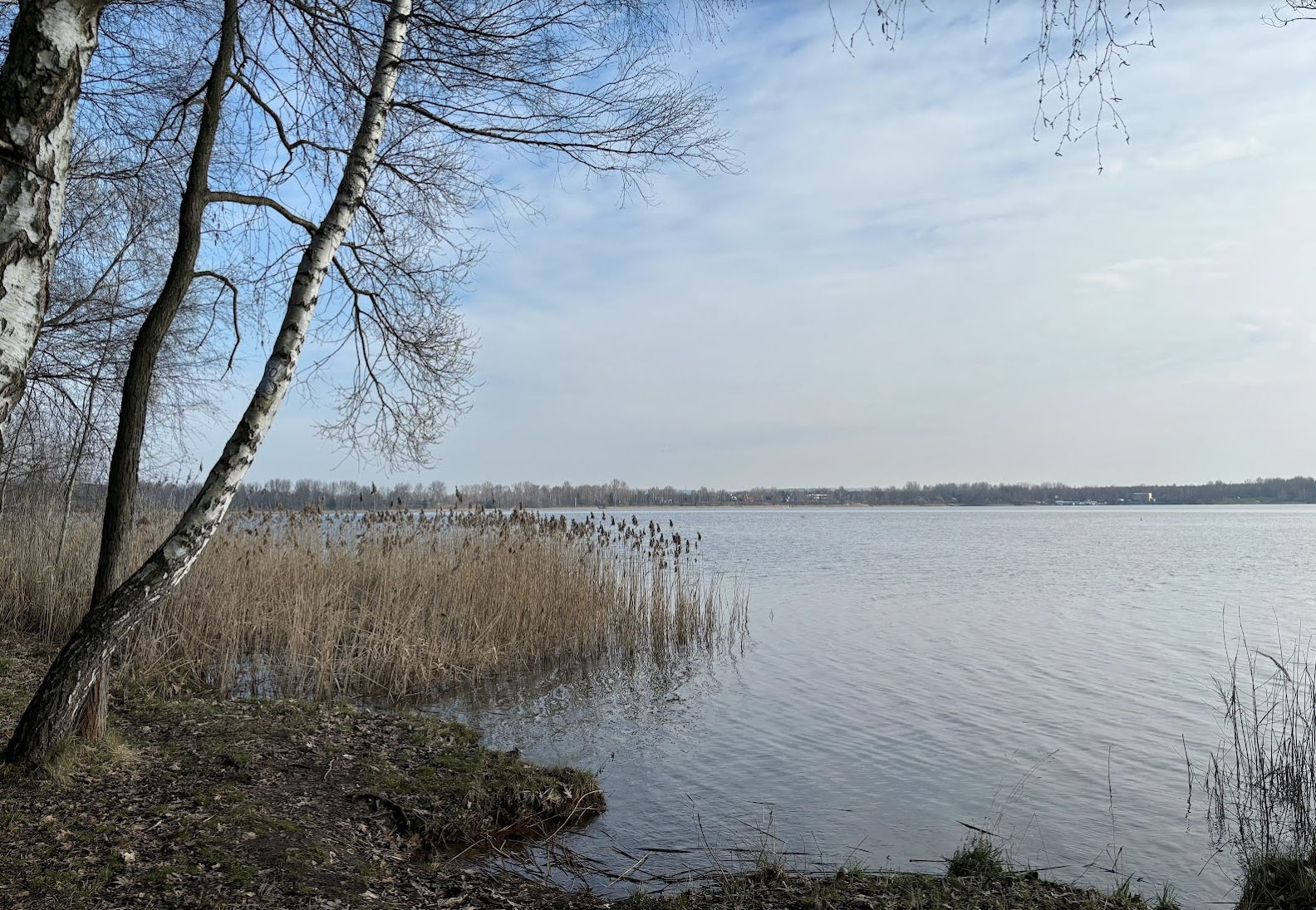 Dąbrowa Górnicza