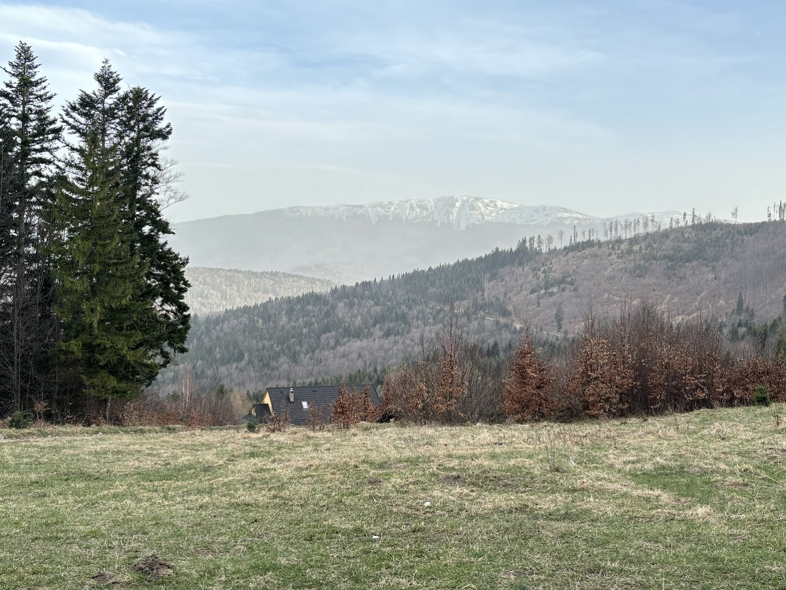 Babia Góra widziana z żółtego szlaku pod Jałowcem.