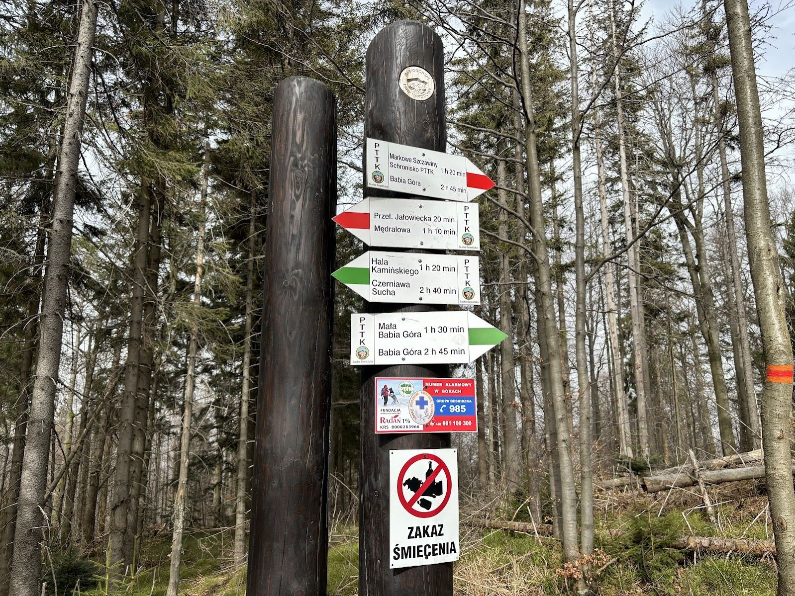 Żywieckie Rozstaje. Chwilę wcześniej wkraczamy w Babiogórski Park Narodowy