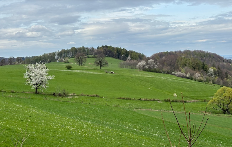 Czantoria Wielka i Niespodzianka. Pociąg w góry: Ustroń Polana - Czantoria - Tuł - Goleszów.