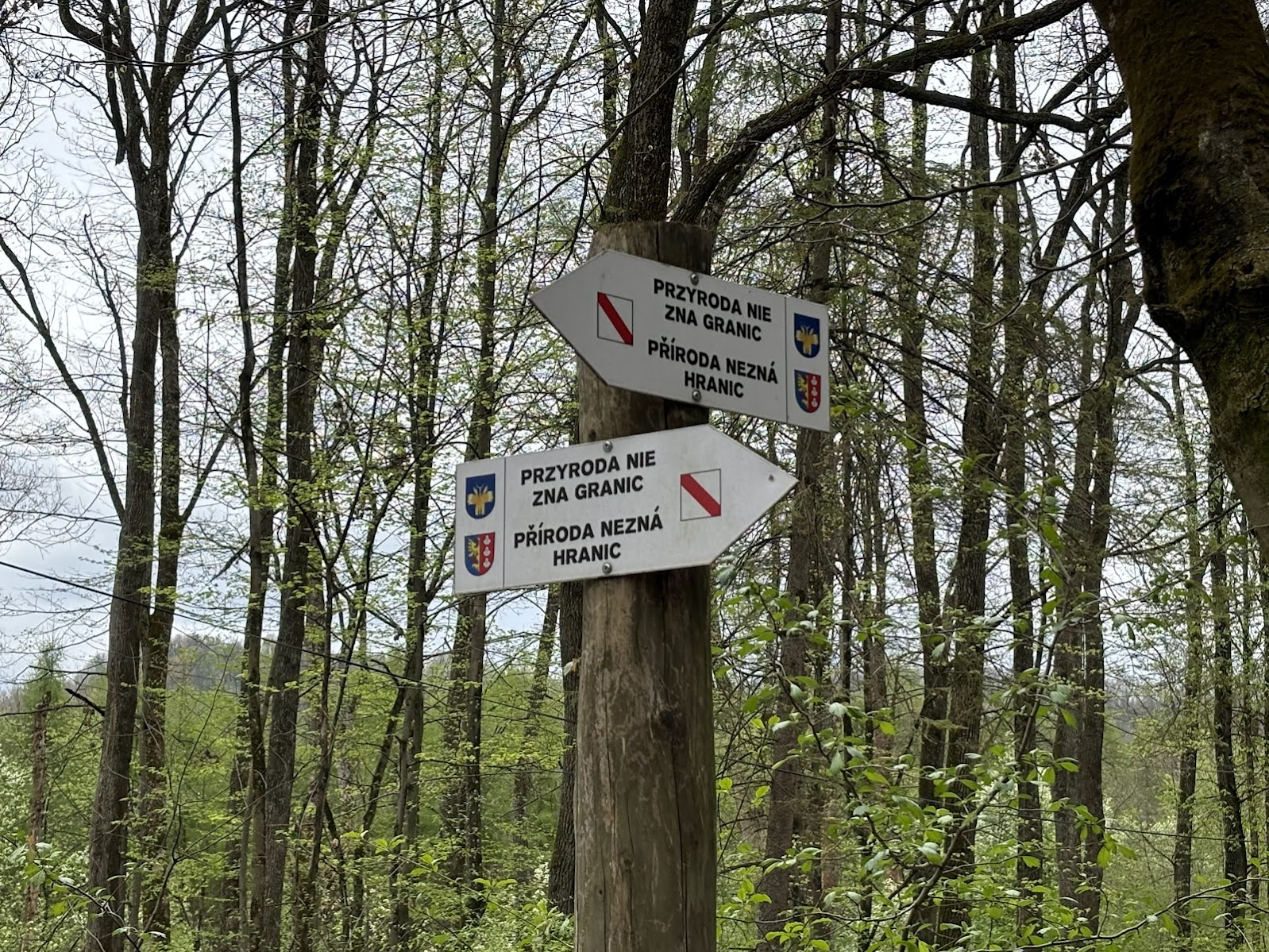 Polsko-czeska ścieżka ”Przyroda nie zna granic”