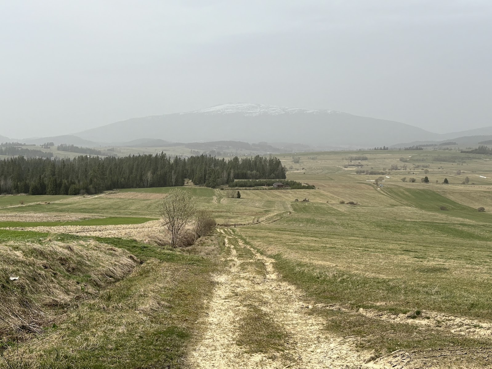 Krajobraz Orawy. W tle Babia Góra