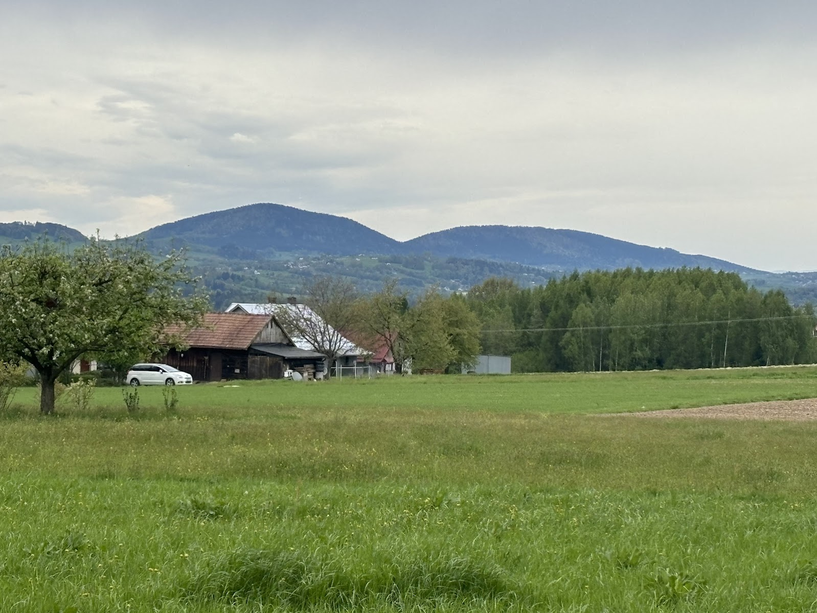 Widok z szlaku na Jodłową Górę (w głębi, po prawej) i Rosochatkę (Beskid Niski, na północ od Grybowa)