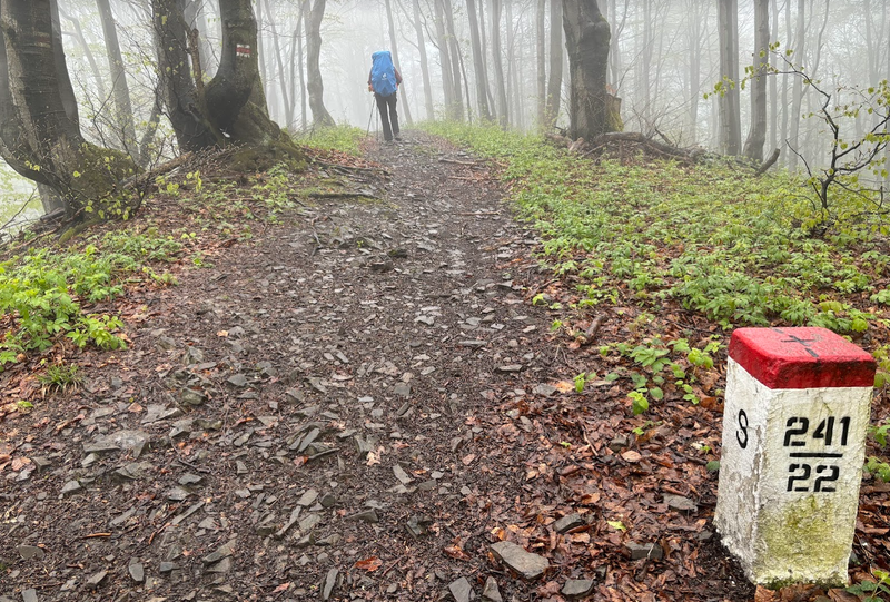 Zielony szlak Wincentego Pola. Odcinek 3: Wysowa-Zdrój - Krynica-Zdrój. Czerwony szlak na zielonym.