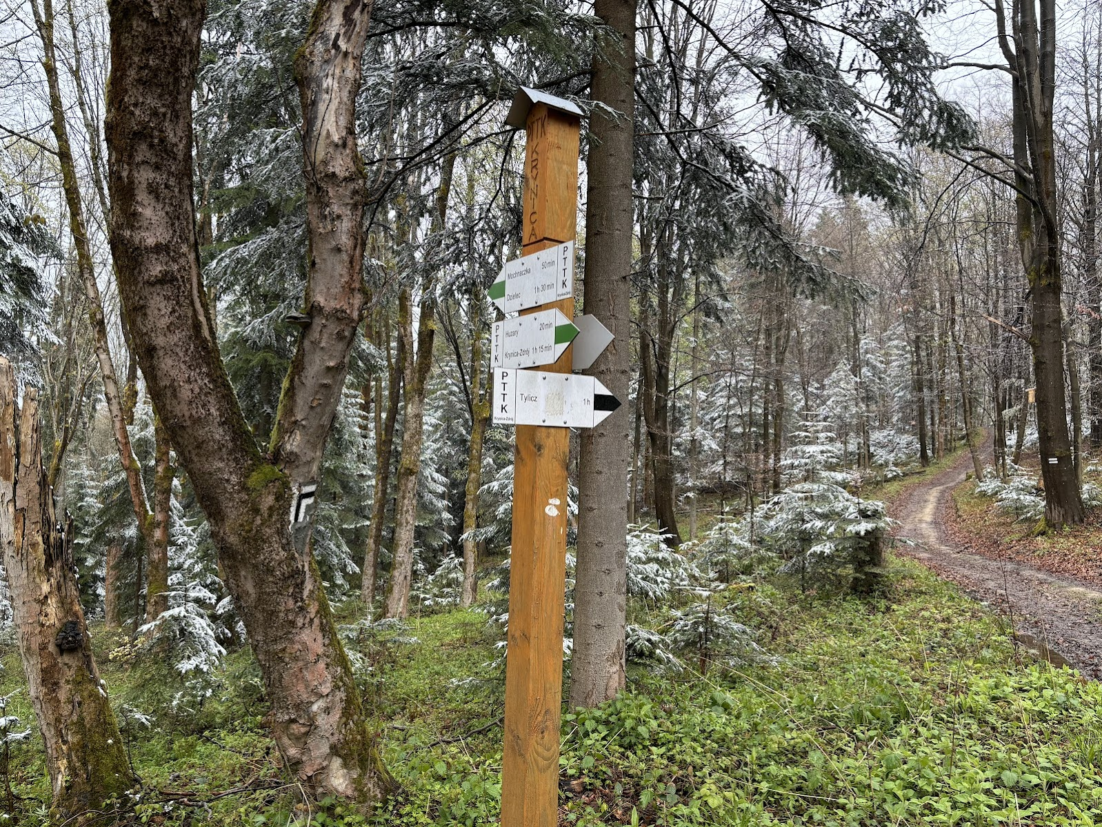 Odejście czarnego szlaku do Tylicza