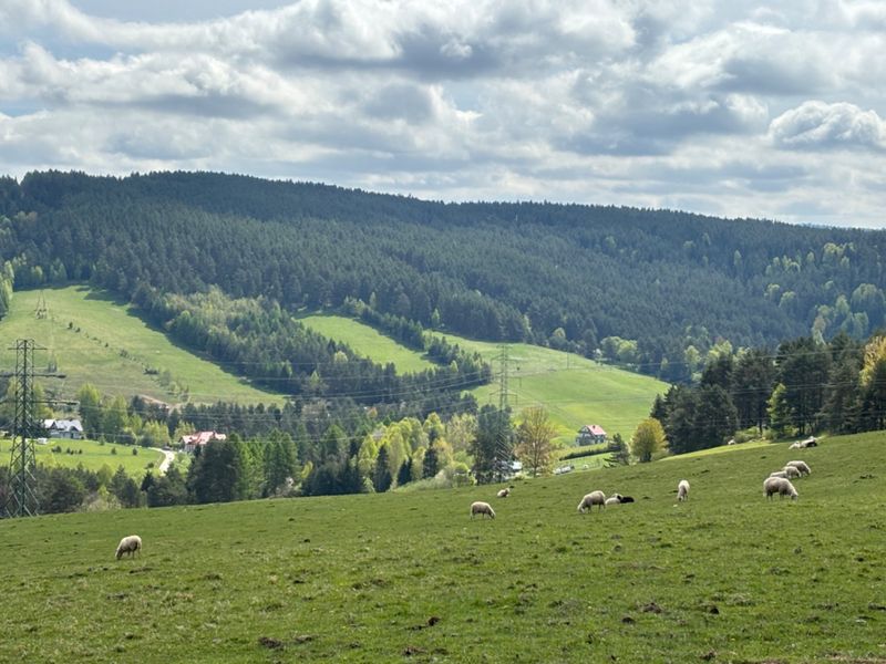 Zielony szlak Wincentego Pola. Odcinek 4: Krynica-Zdr - Muszyna. Zima na Jaworzynie, lato w Muszynie