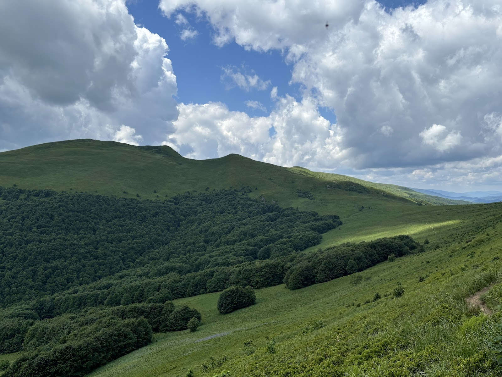 Widok na Tarnicę.