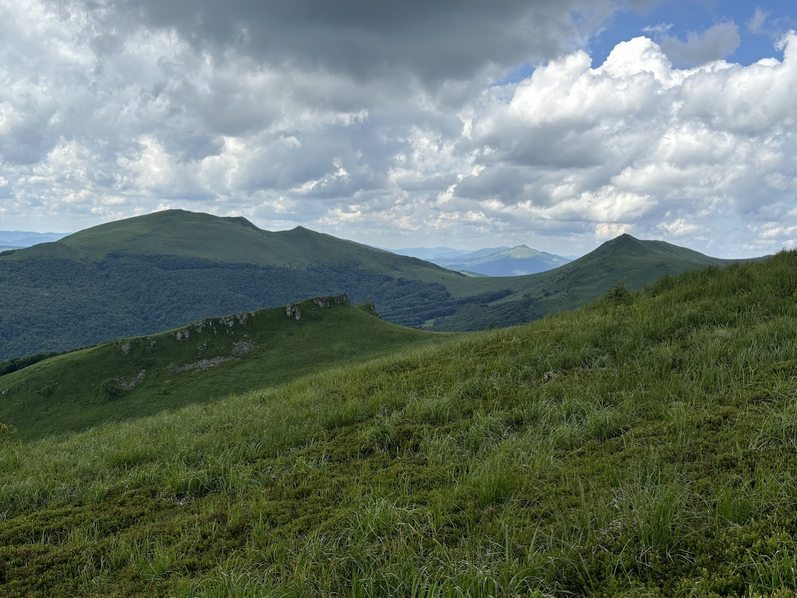 Widok na Tarnicę (po lewej) i Krzemień (po prawej). W dali Połonina Caryńska.