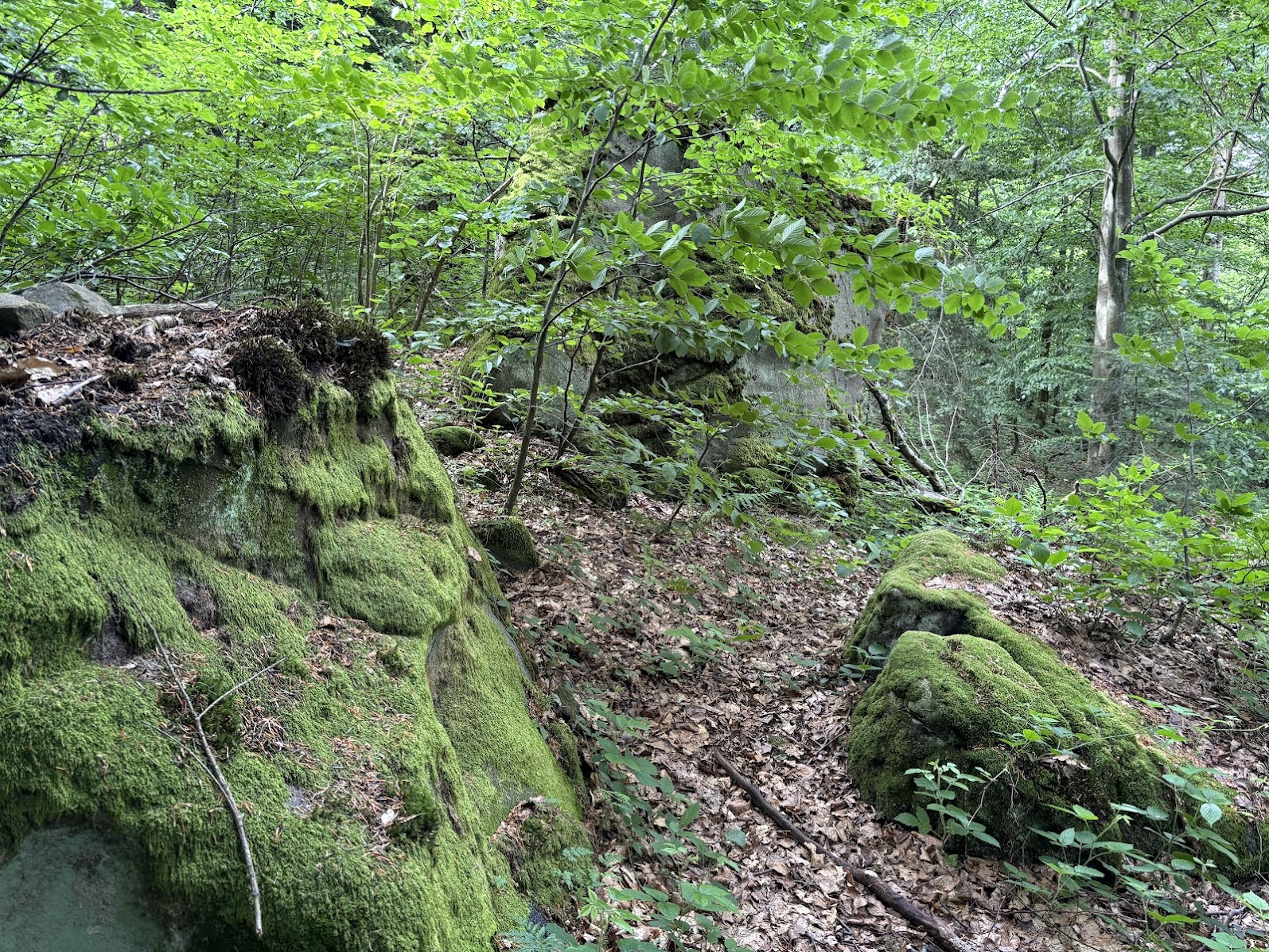 Magurski Park Narodowy - Kamień nad Kątami