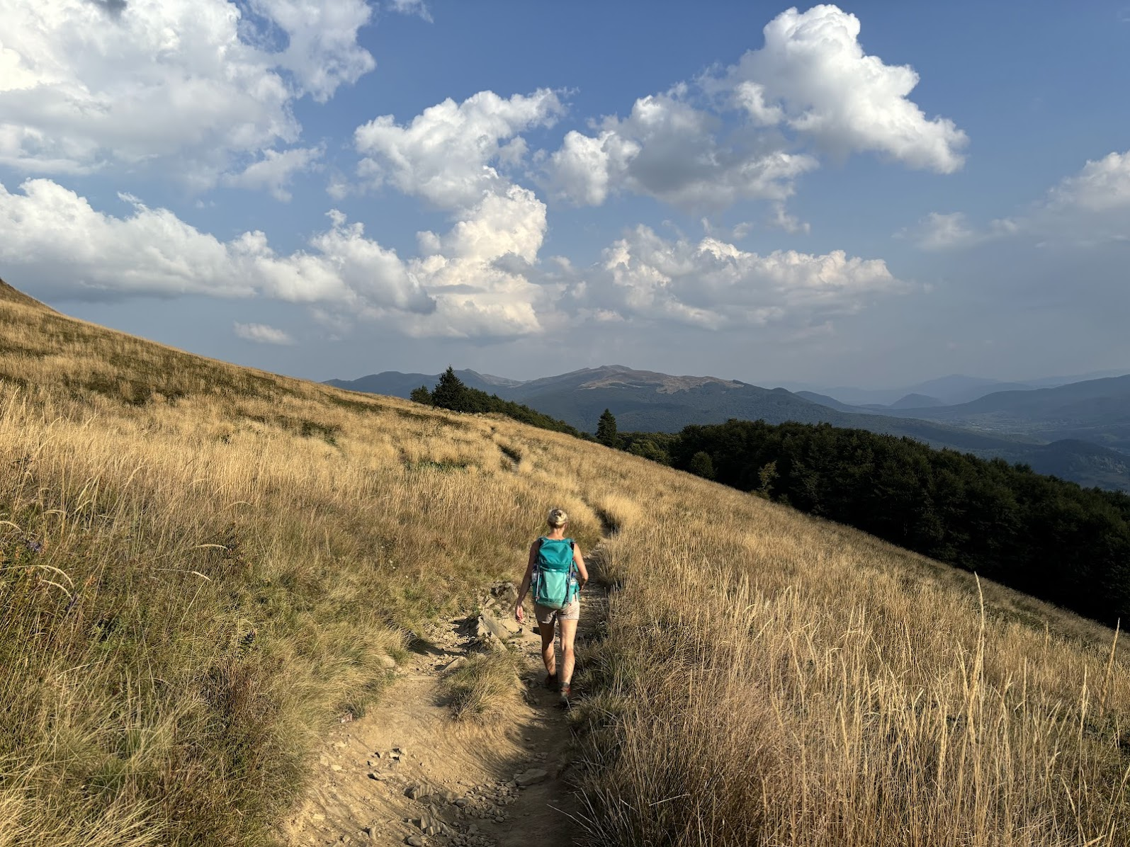 Końcowy (wschodni) fragment Połoniny Caryńskiej. W osi szlaku - Tarnica.