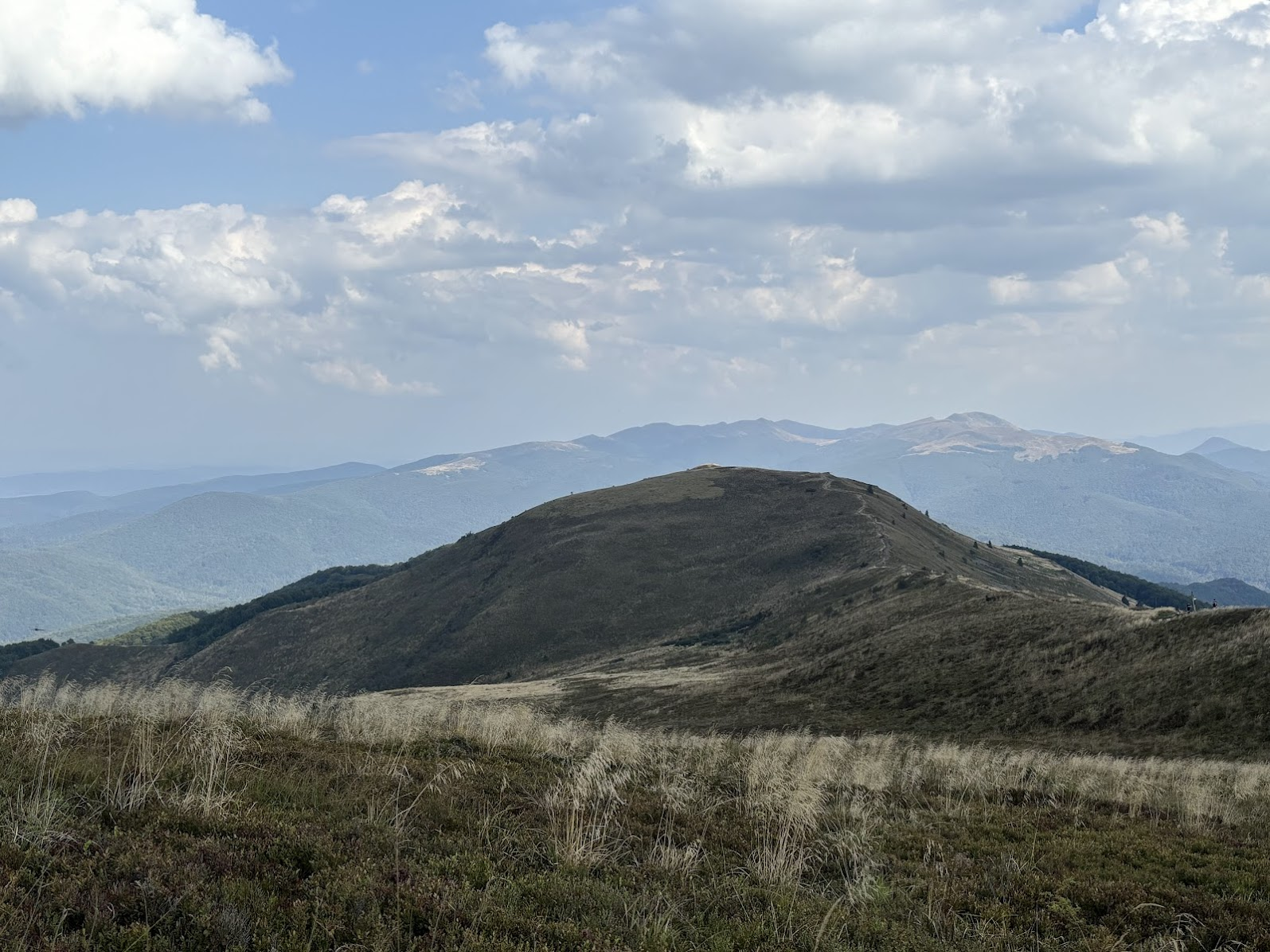 Widok na wschód z okolic kulminacji Kruhlego Wierchu. W dali Tarnica i Bukowe Berdo