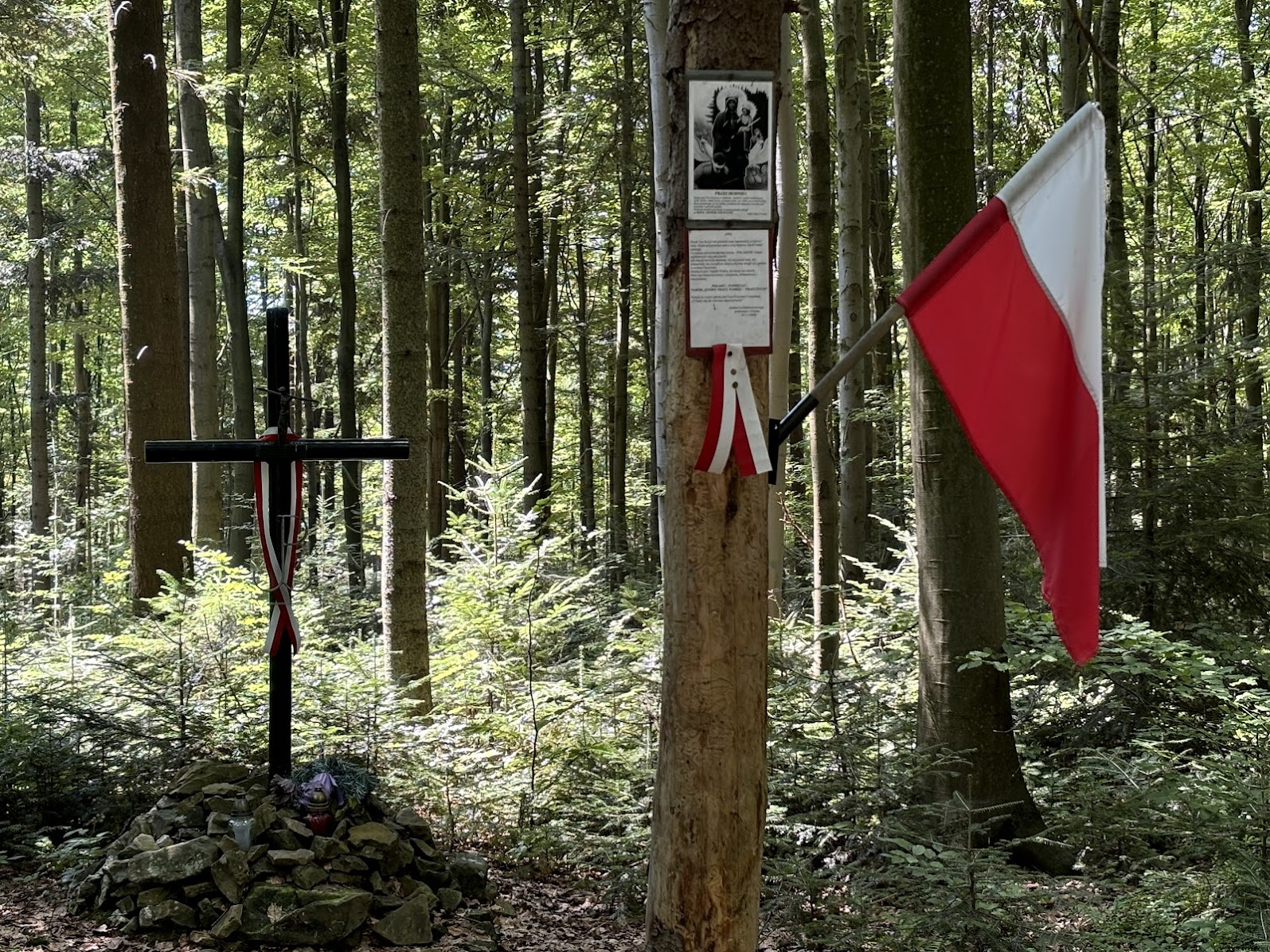 Krzyż partyzancki na szlaku między Kotoniem a Parszywką