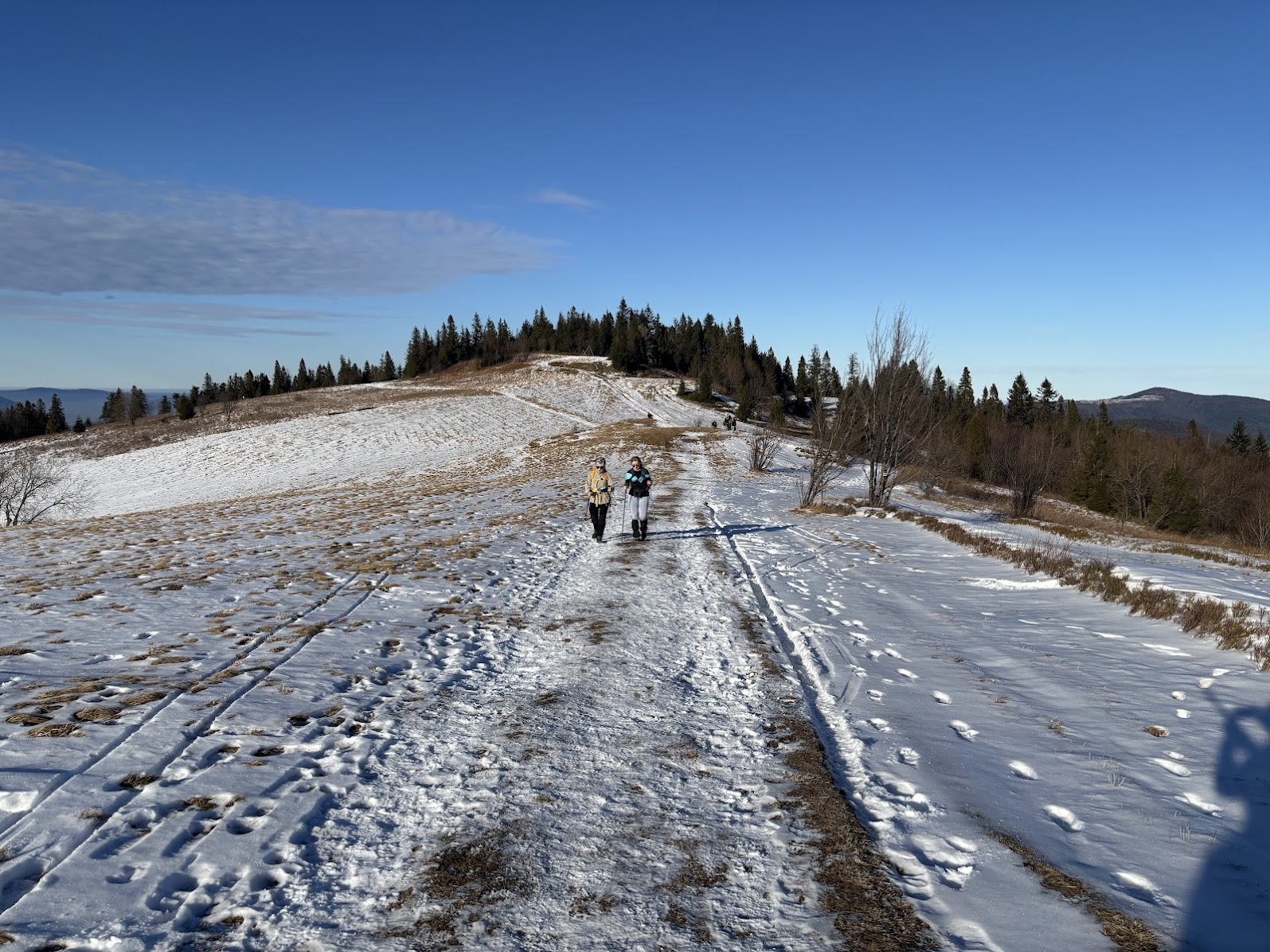 Hala Gorc Kamienicki. Po prawej widać Mogielicę (Beskid Wyspowy).