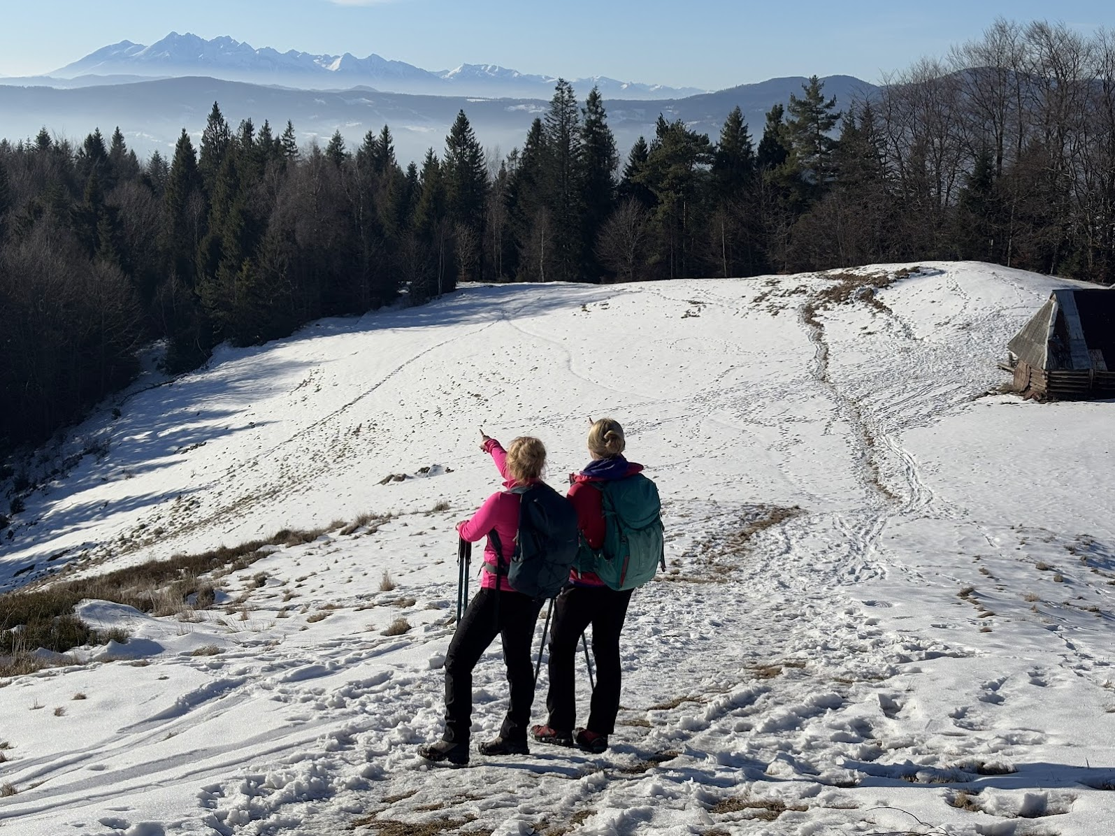 Widok na Tatry z Hali Skotarka