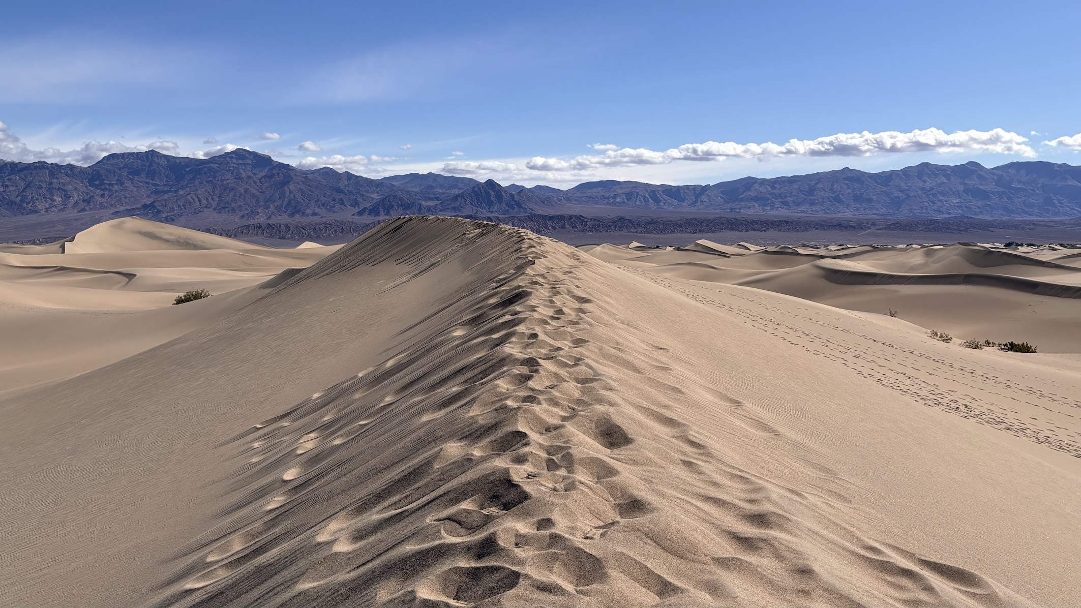 Mesquite Dunes - Death Valley National Park, California