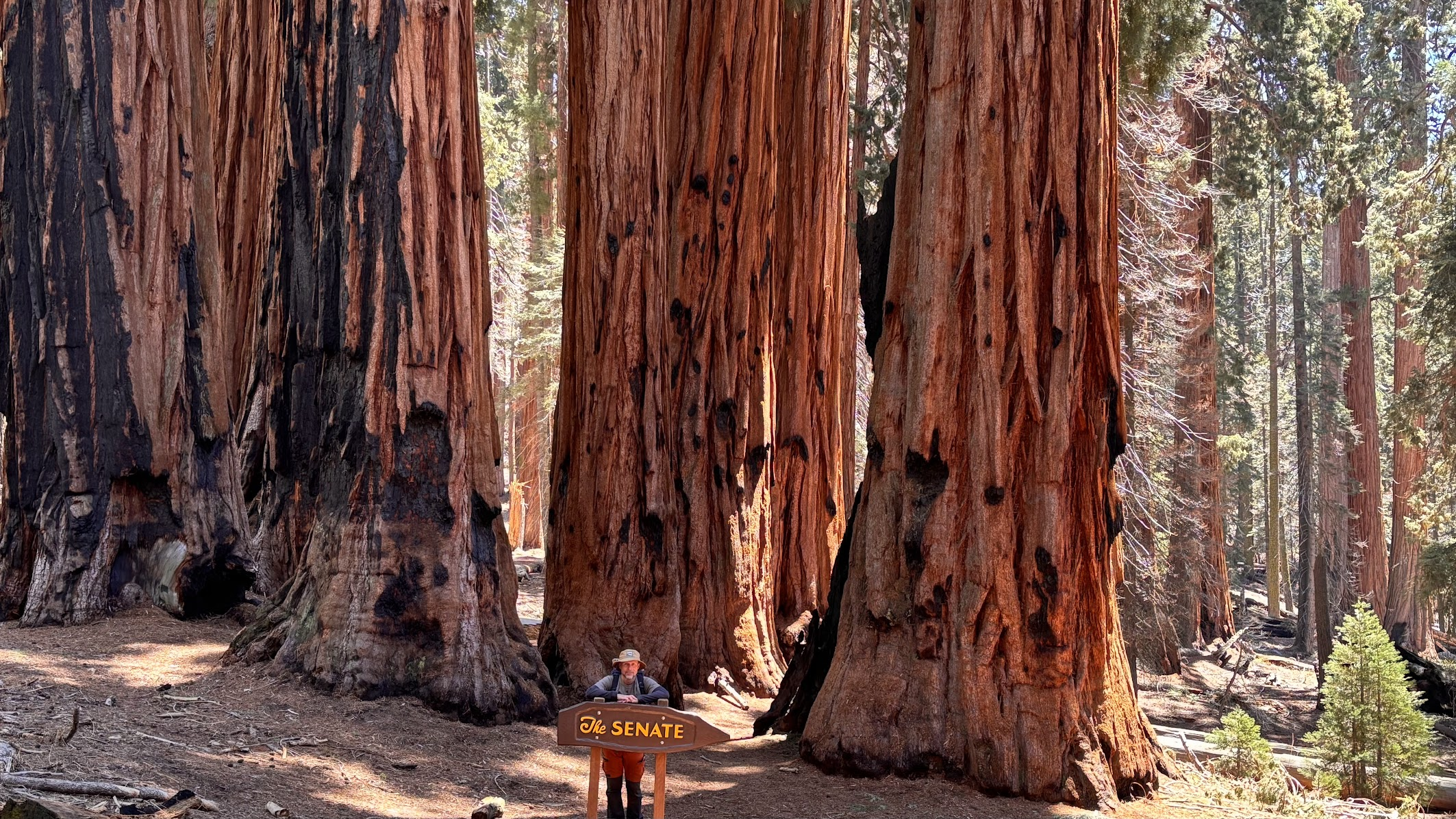 The Congress Group - Sequoia National Park, CA
