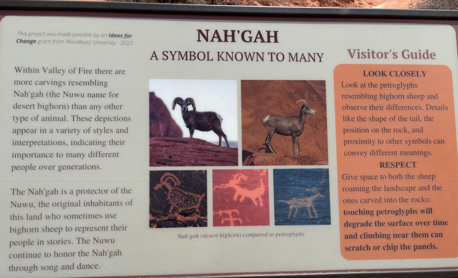 Bighorns in ancient petroglyphs, Valley of Fire State Park, NV