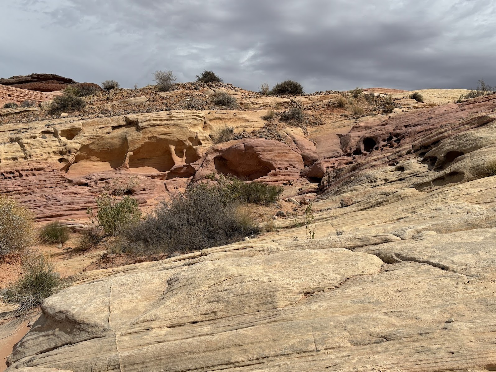 Layers of sandstone - Valley of Fire State Park, NV