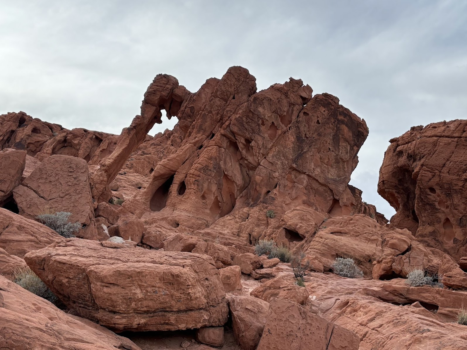 Elephant Rock - Valley of Fire State Park, NV