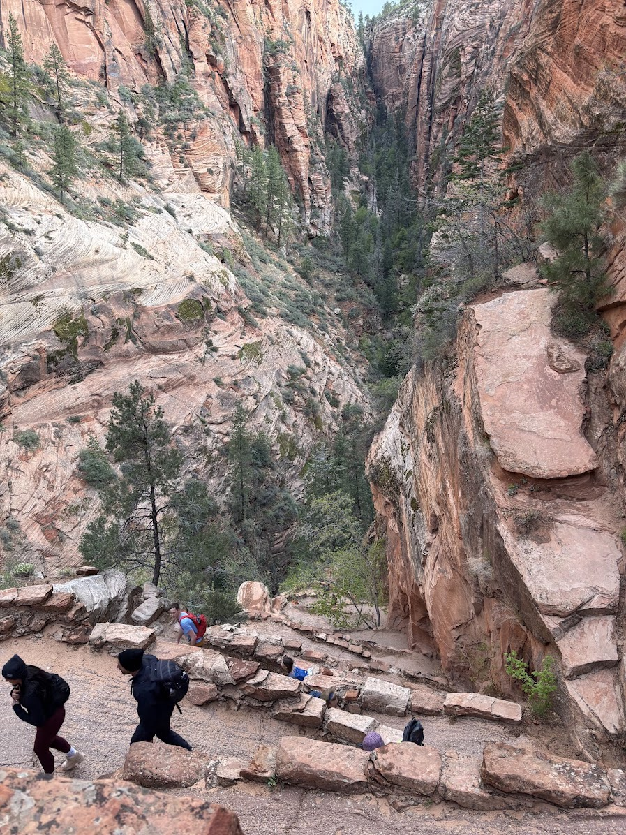 Walter Wiggles, Angels Landing Trail