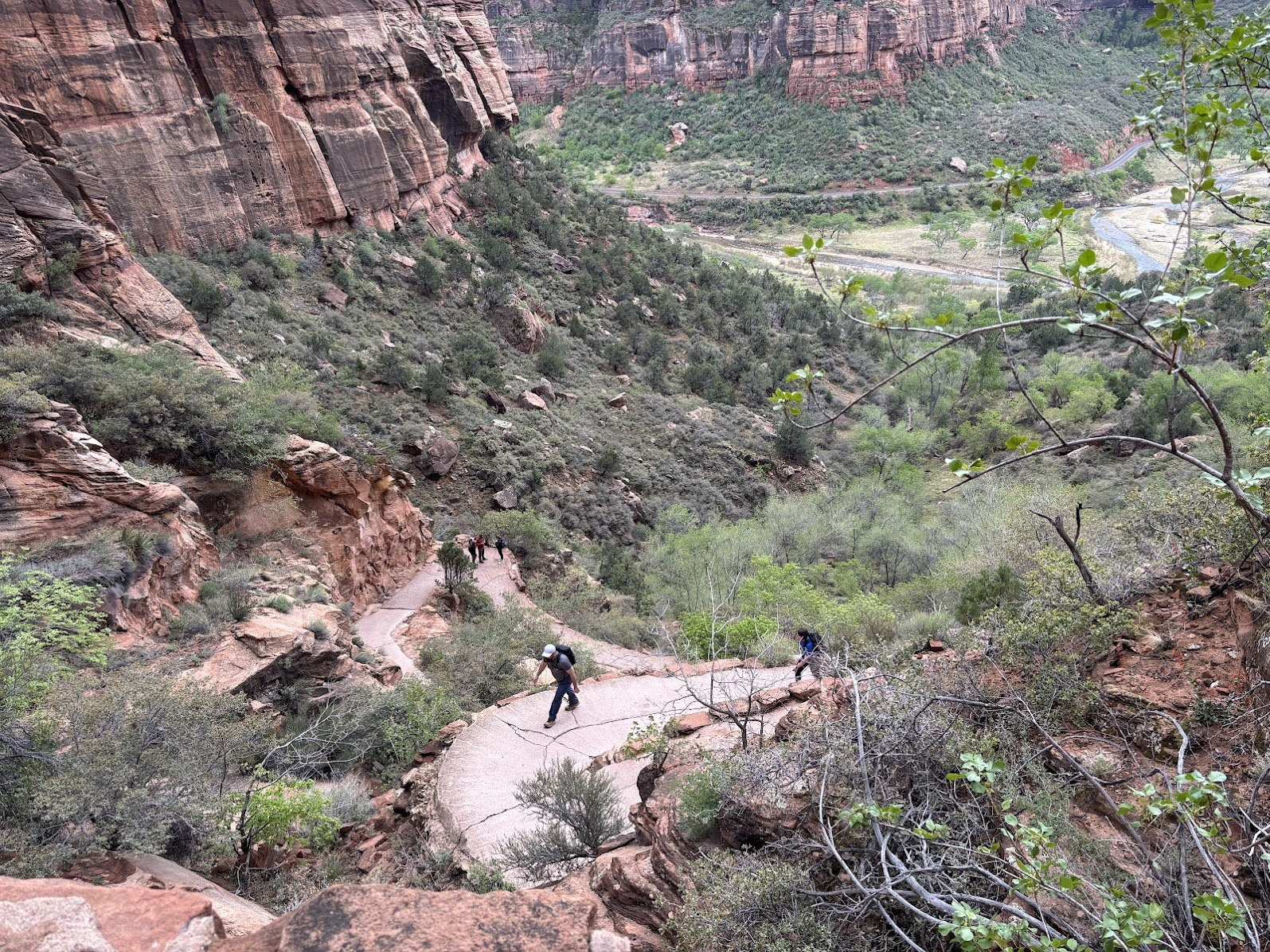 Lower segment of Angels Landing trail