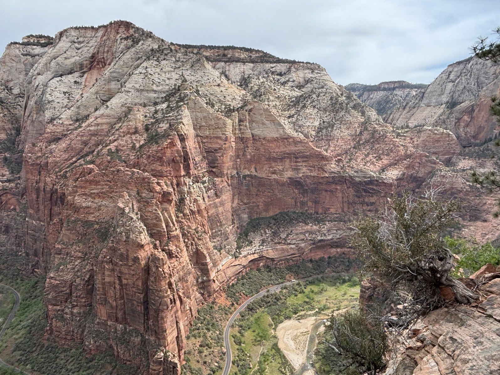 View from Angels Landing to the north