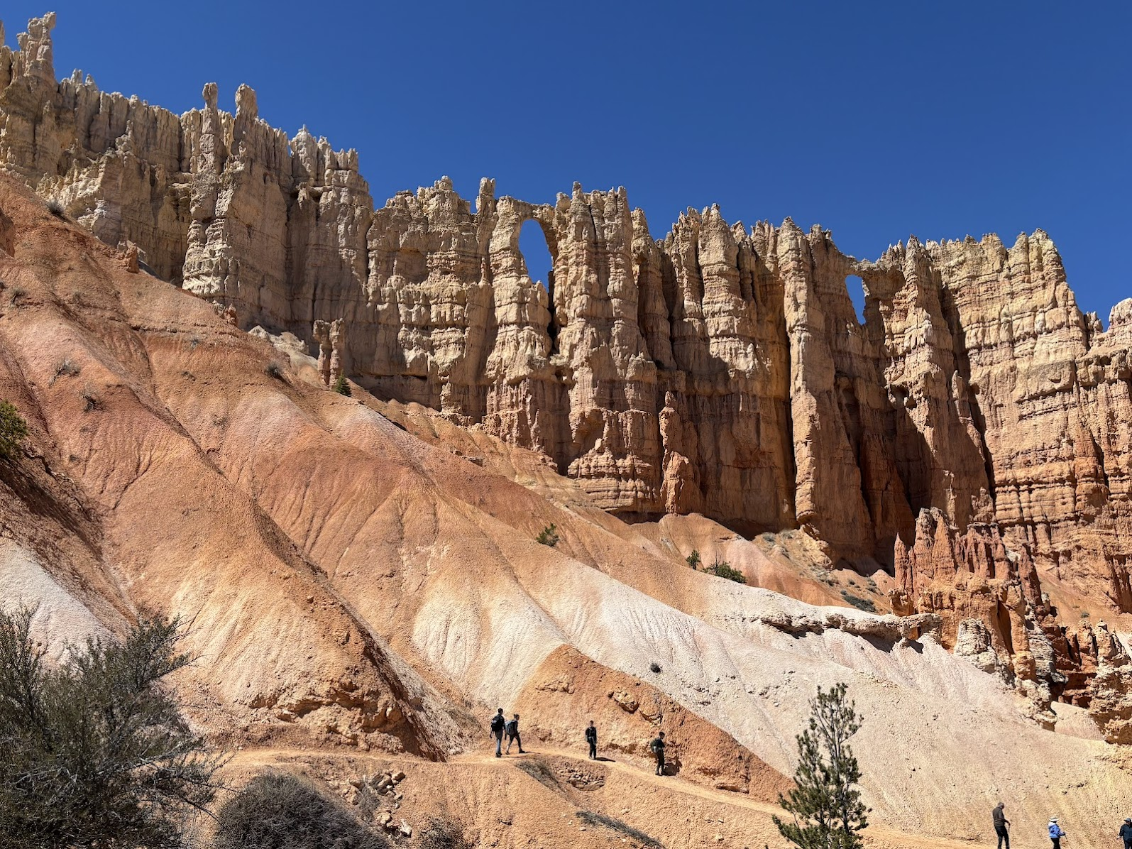 Hoodoos seen from the bottom of the canyon