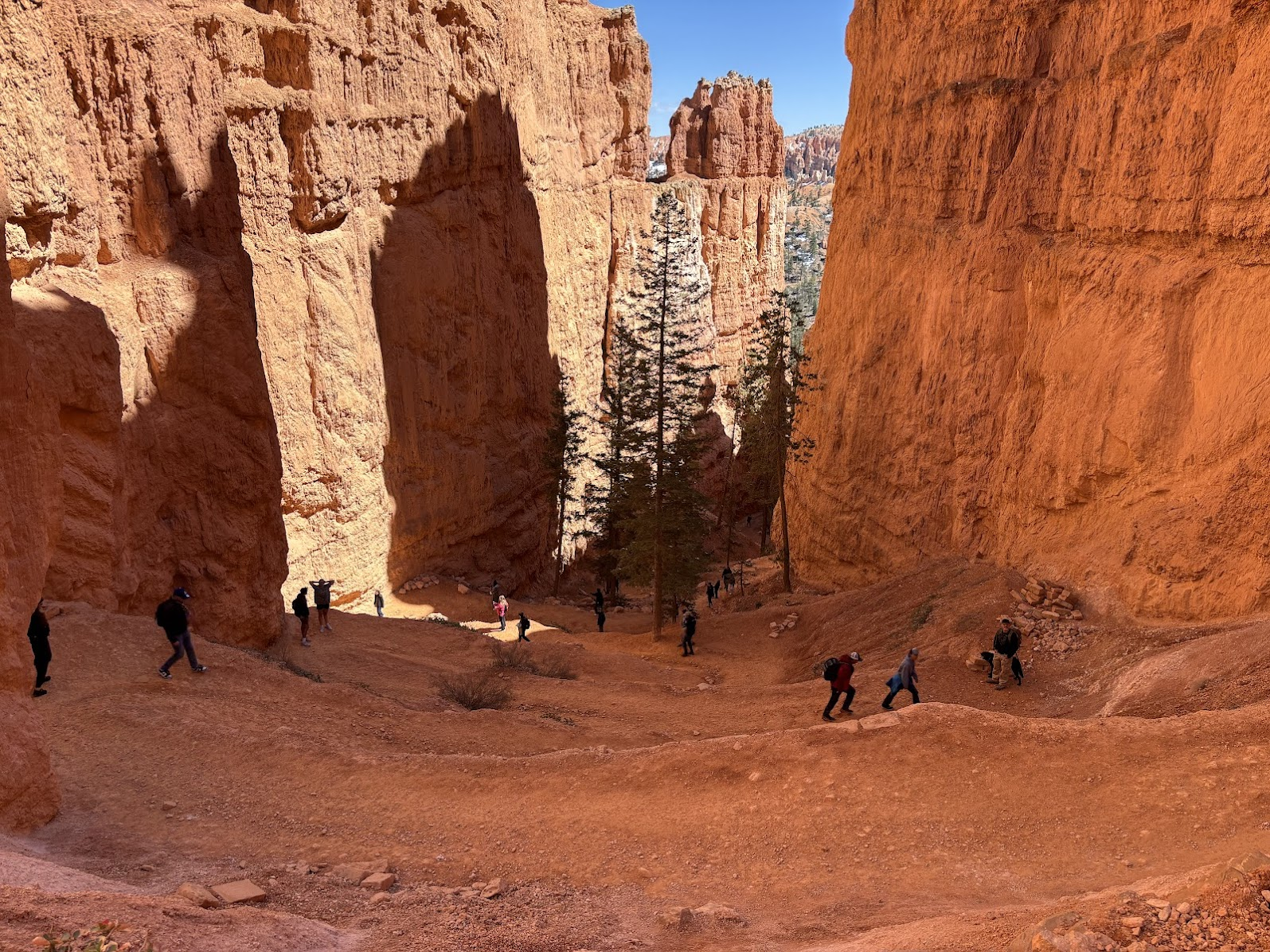 Switchbacks