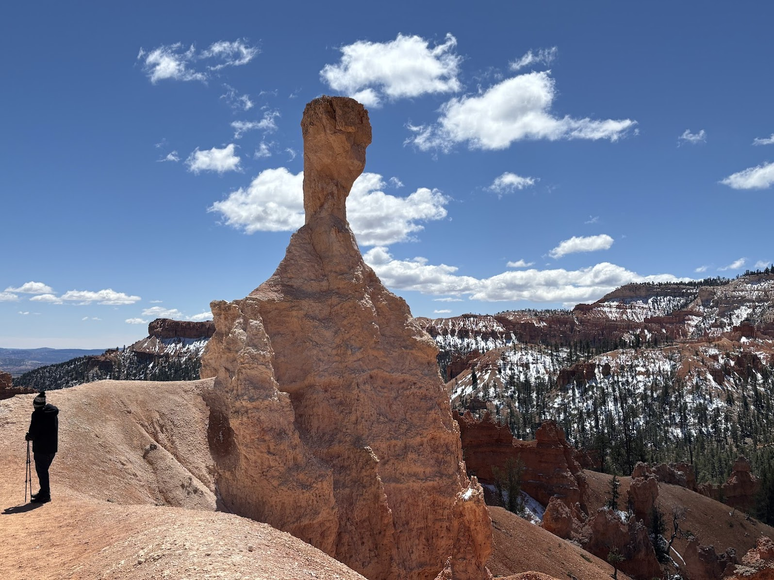 E.T. Hoodoo