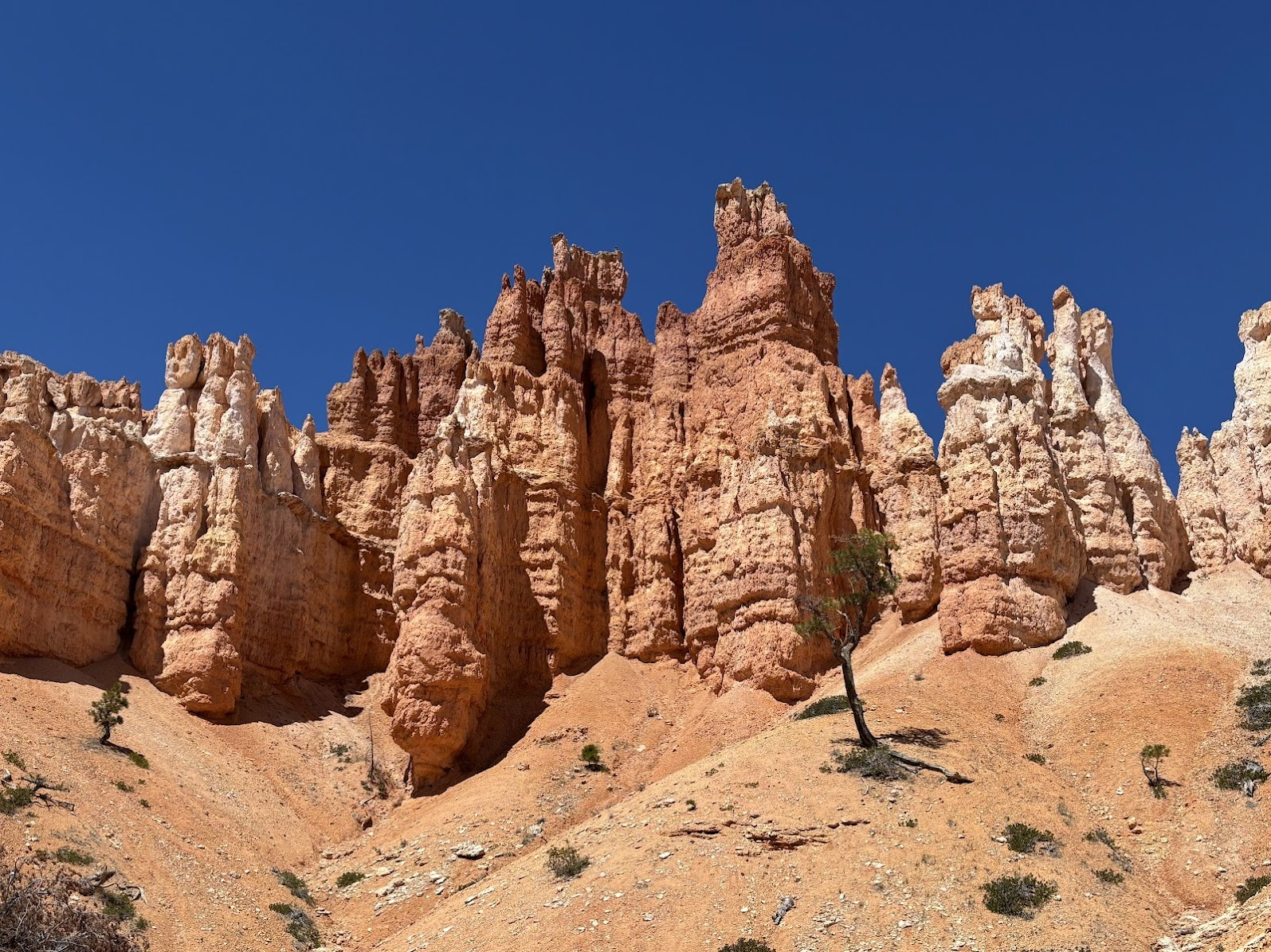 Hoodoos seen from the bottom of the canyon