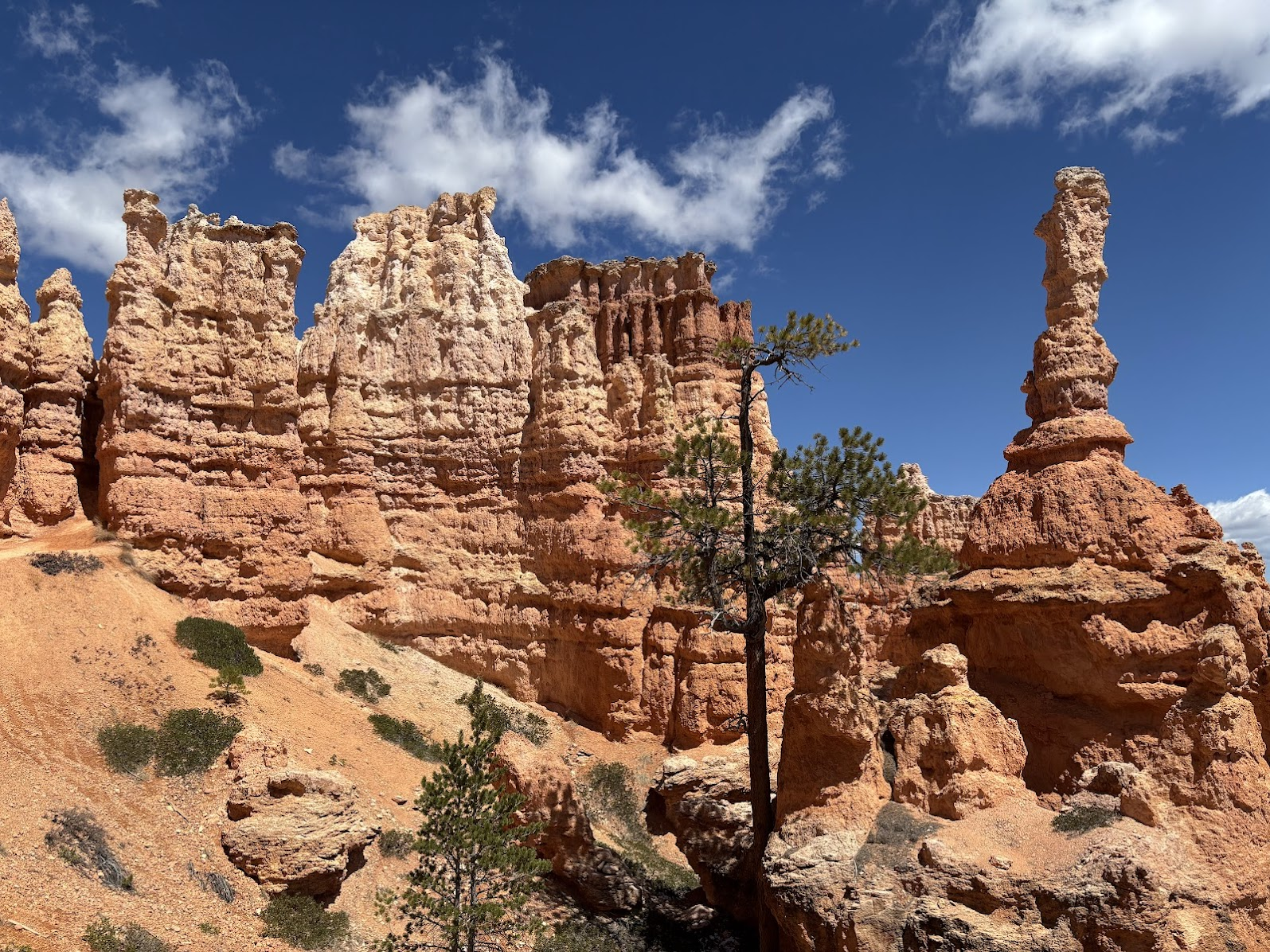 Hoodoos seen from the bottom of the canyon