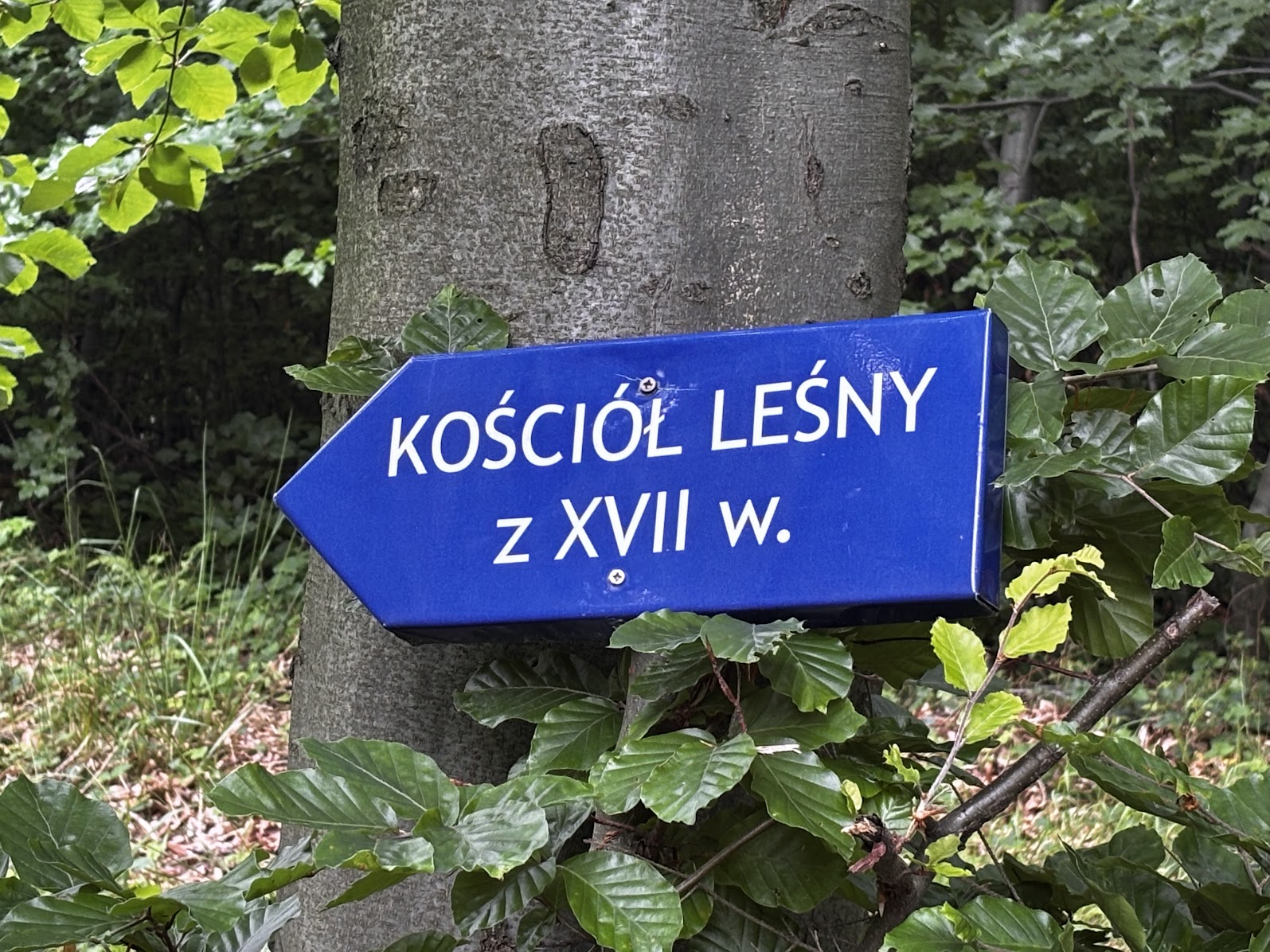 Tabliczka wskazująca ścieżkę do leśnego kościoła pod Wysokiem (jest widoczna dopiero po zejściu z niebieskiego szlaku i przejściu przez szczyt)