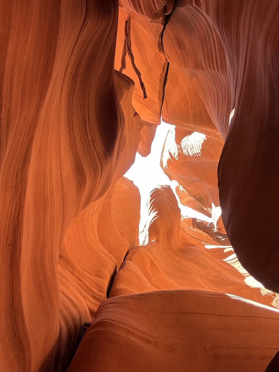 Canyon X