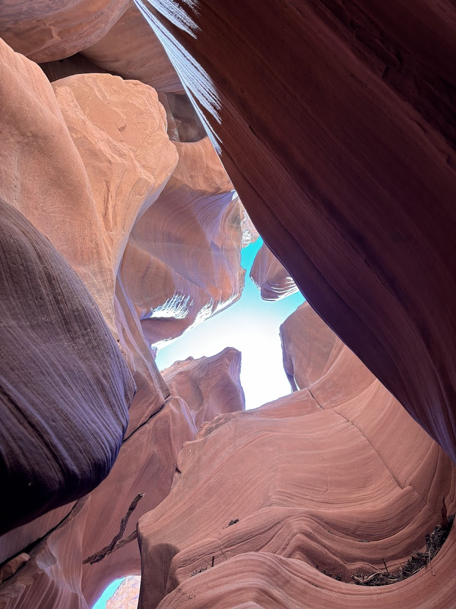 Canyon X