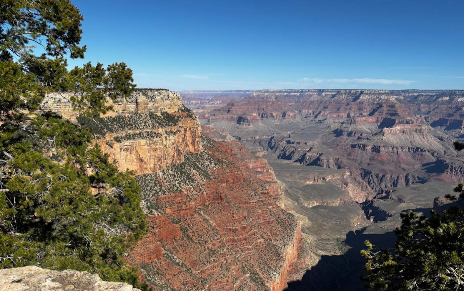 Grand Canyon at Kaibab Trailhead