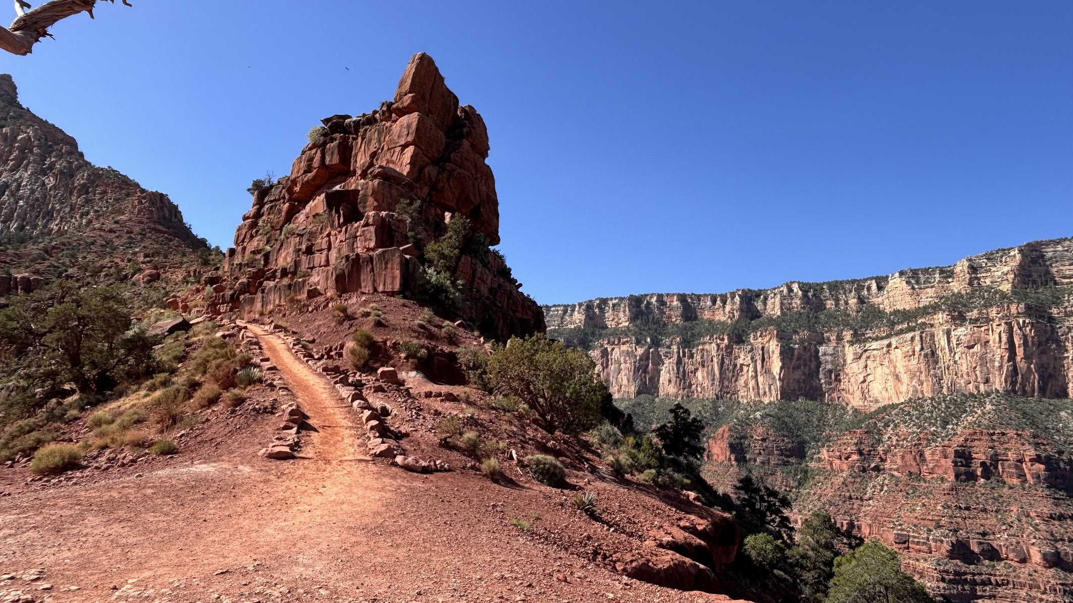 Red sandstone, between Cedar Ridge and Skeleton Point
