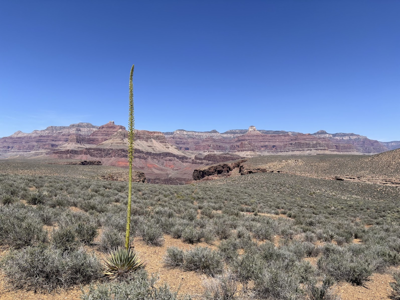 Tonto trail, after Pipe Creek crossing