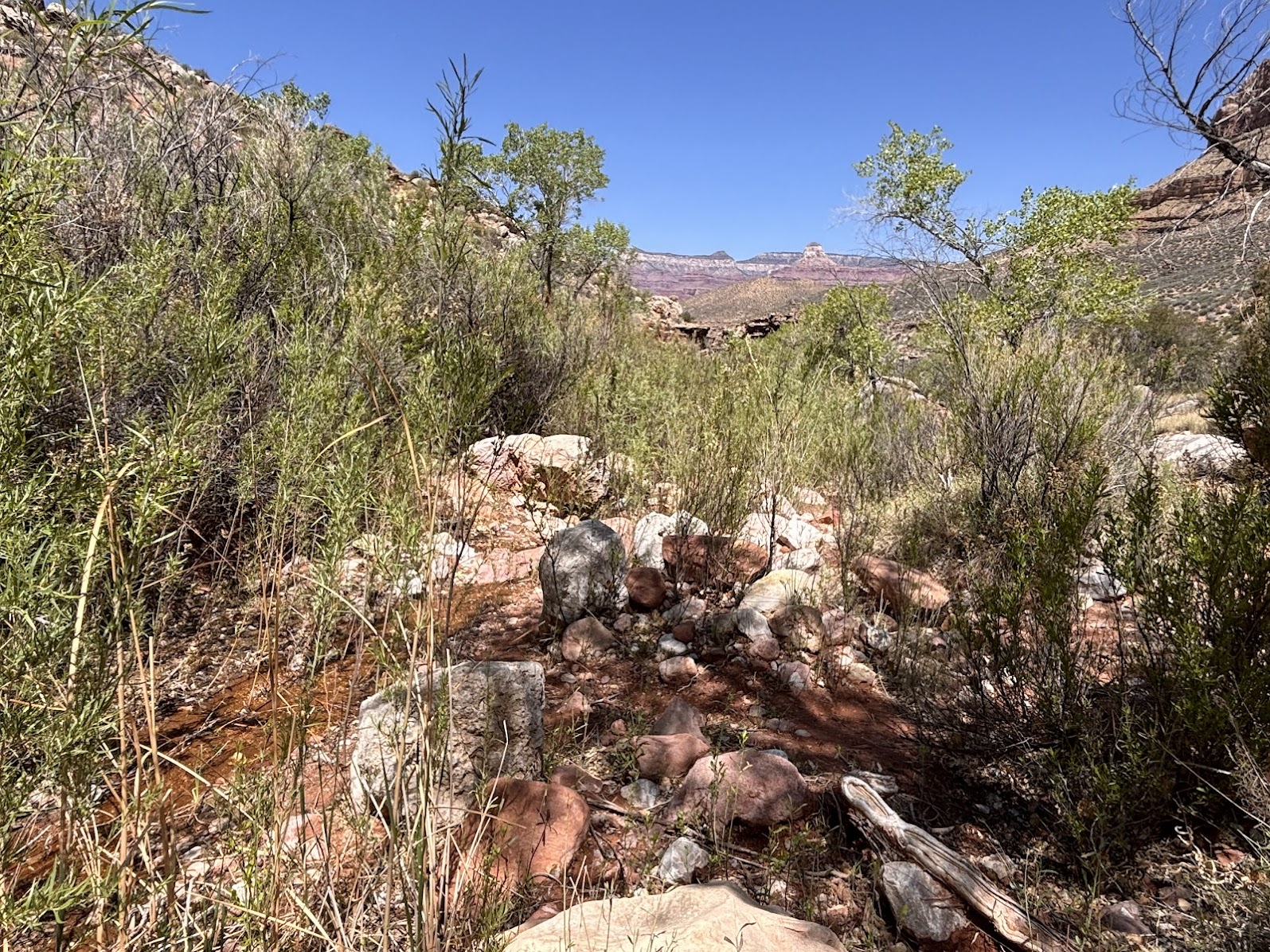 The source of Pipe Creek, a tiny tributary of the Colorado river