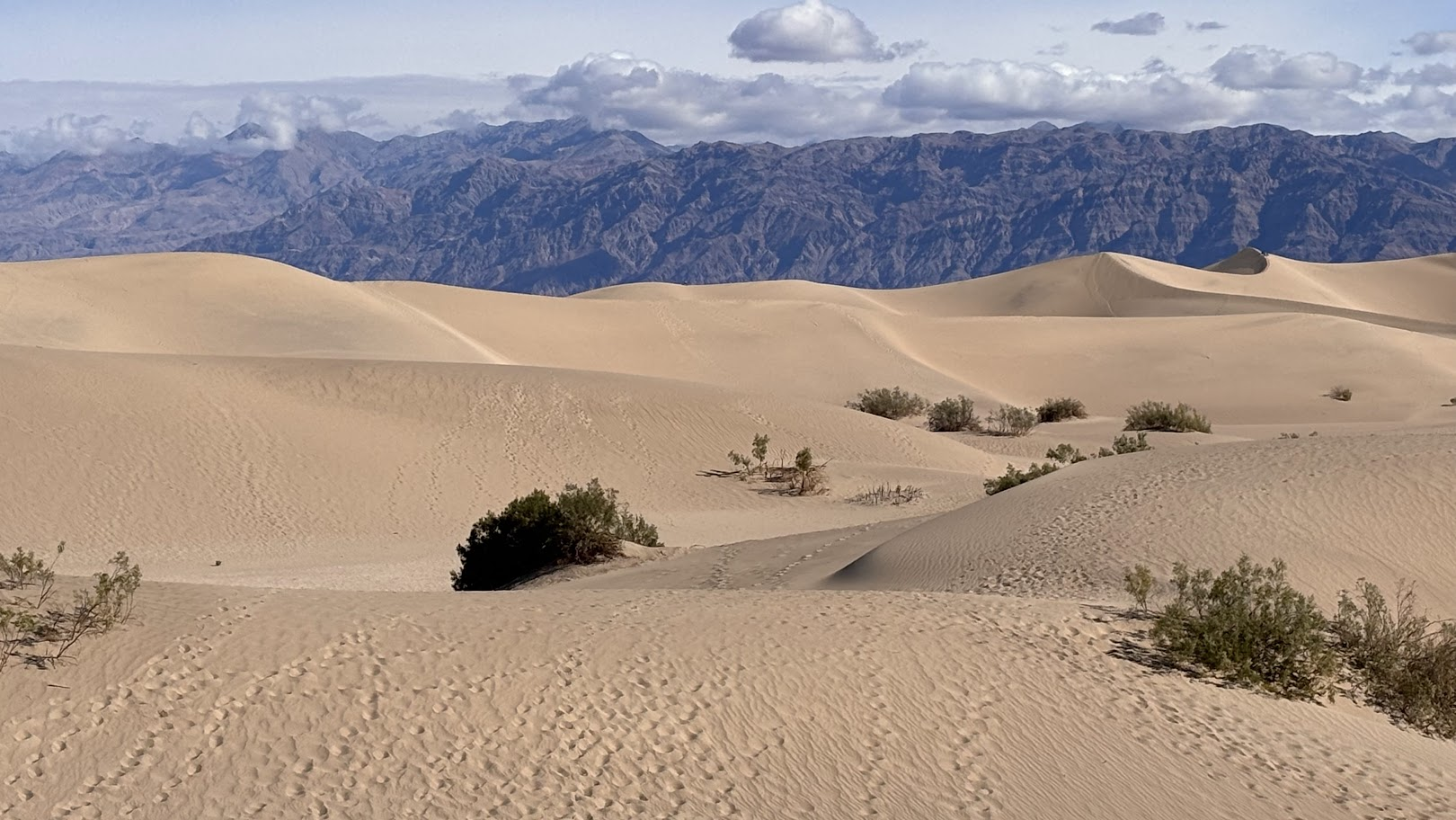 Death Valley Mesquite Dunes, CA