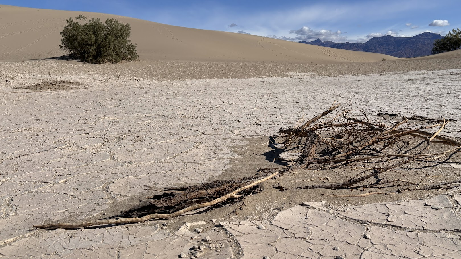 Future sandstone formation - Death Valley Mesquite Dunes, CA
