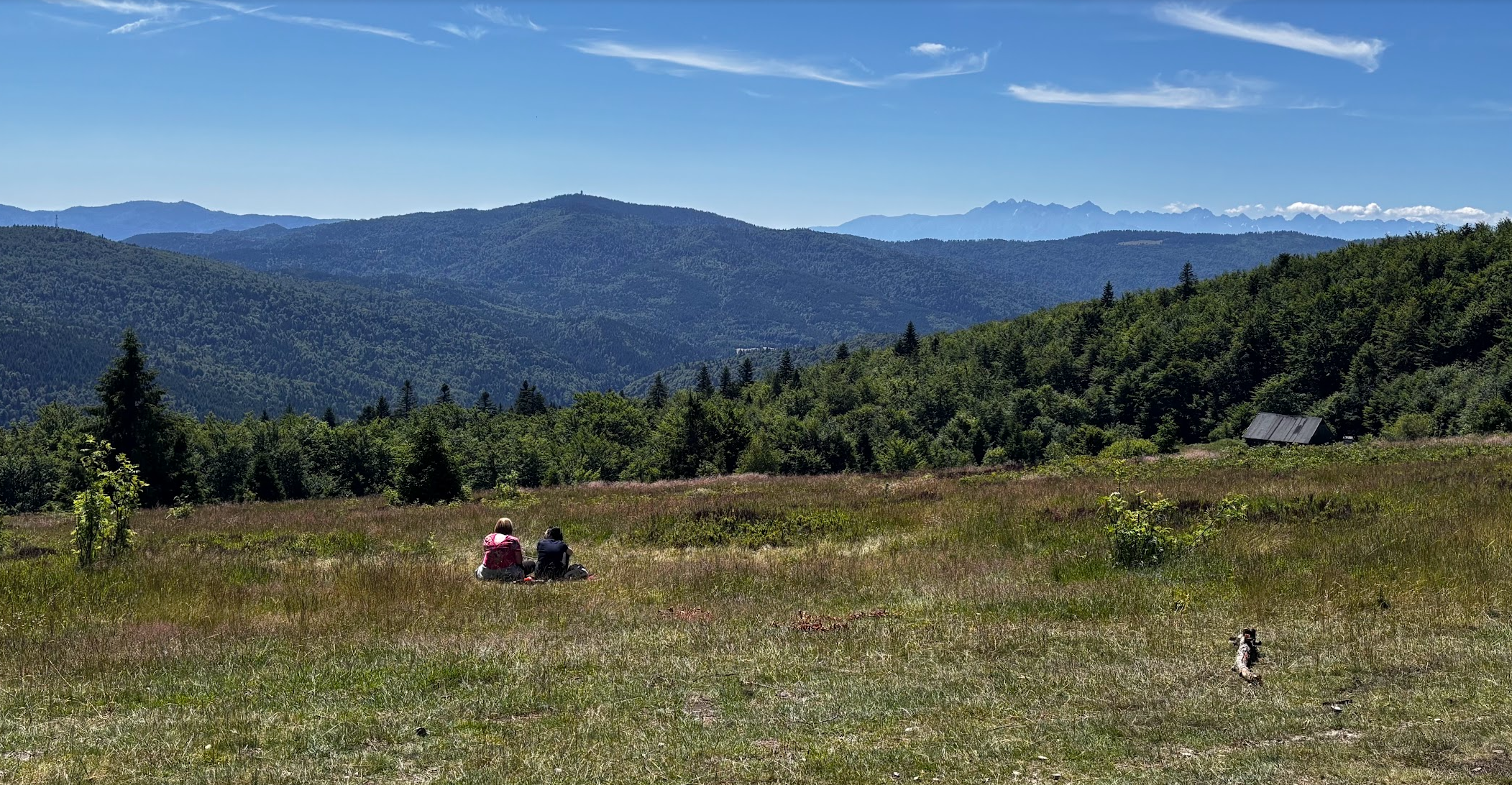 Szlak Tymbark - Nowy Targ, czyli całodzienny maraton (42,7km) przez Beskid Wyspowy i Gorce.