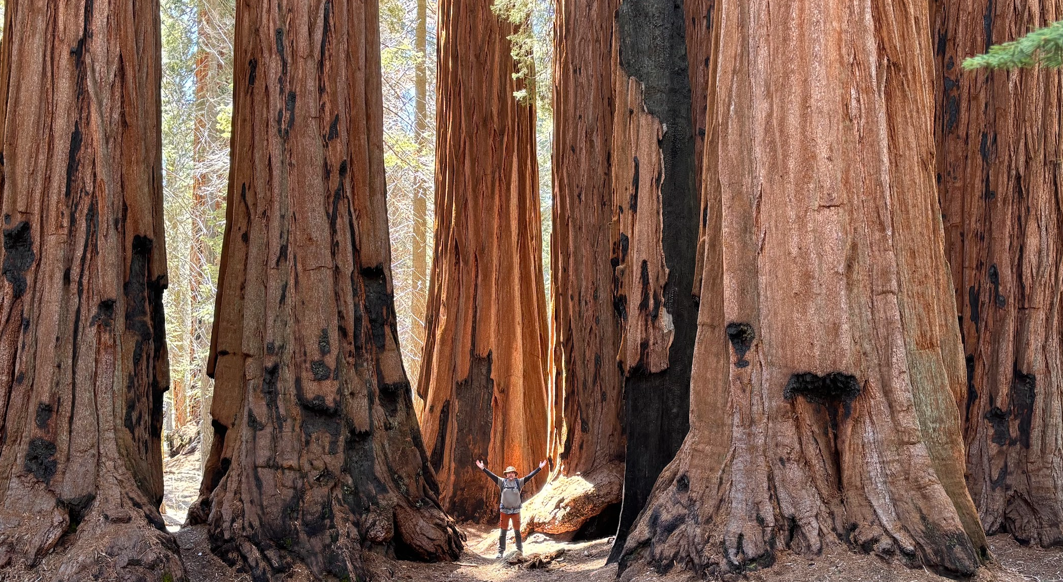 Author in the land of the Giants