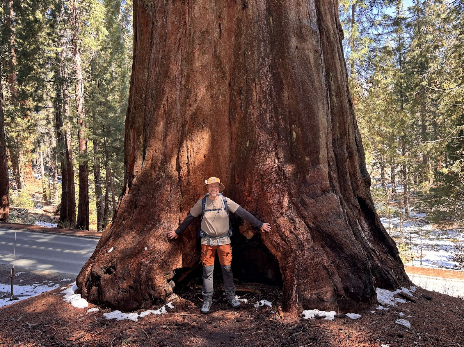 Author in the land of the giants