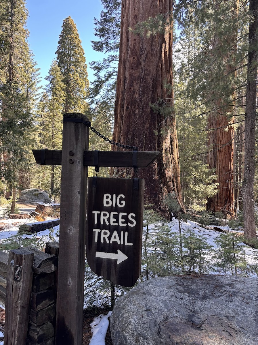 Big Trees Trail