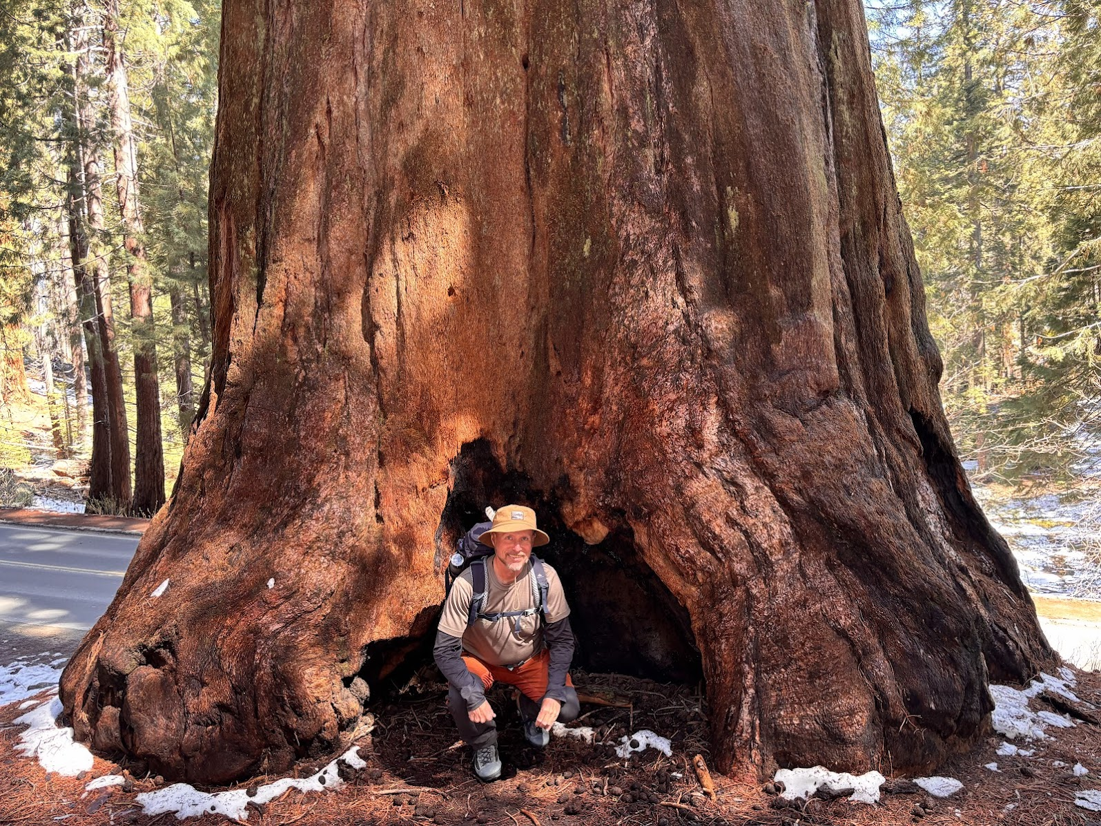 Author in the land of the Giants