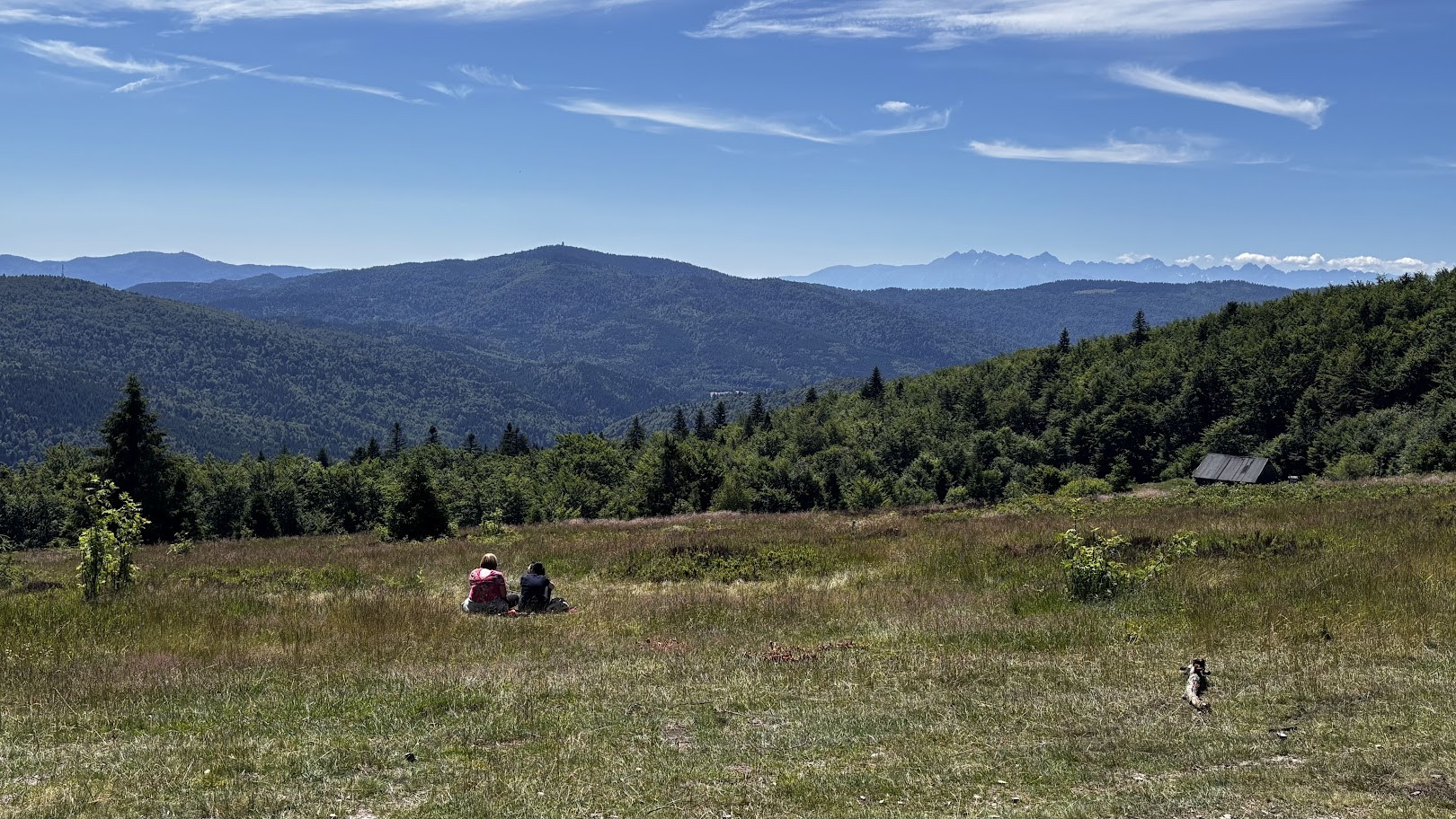 11:31 - kilometr 17. Polana pod Kutrzycą, z widokiem na Gorc (z wieżą) i Tatry