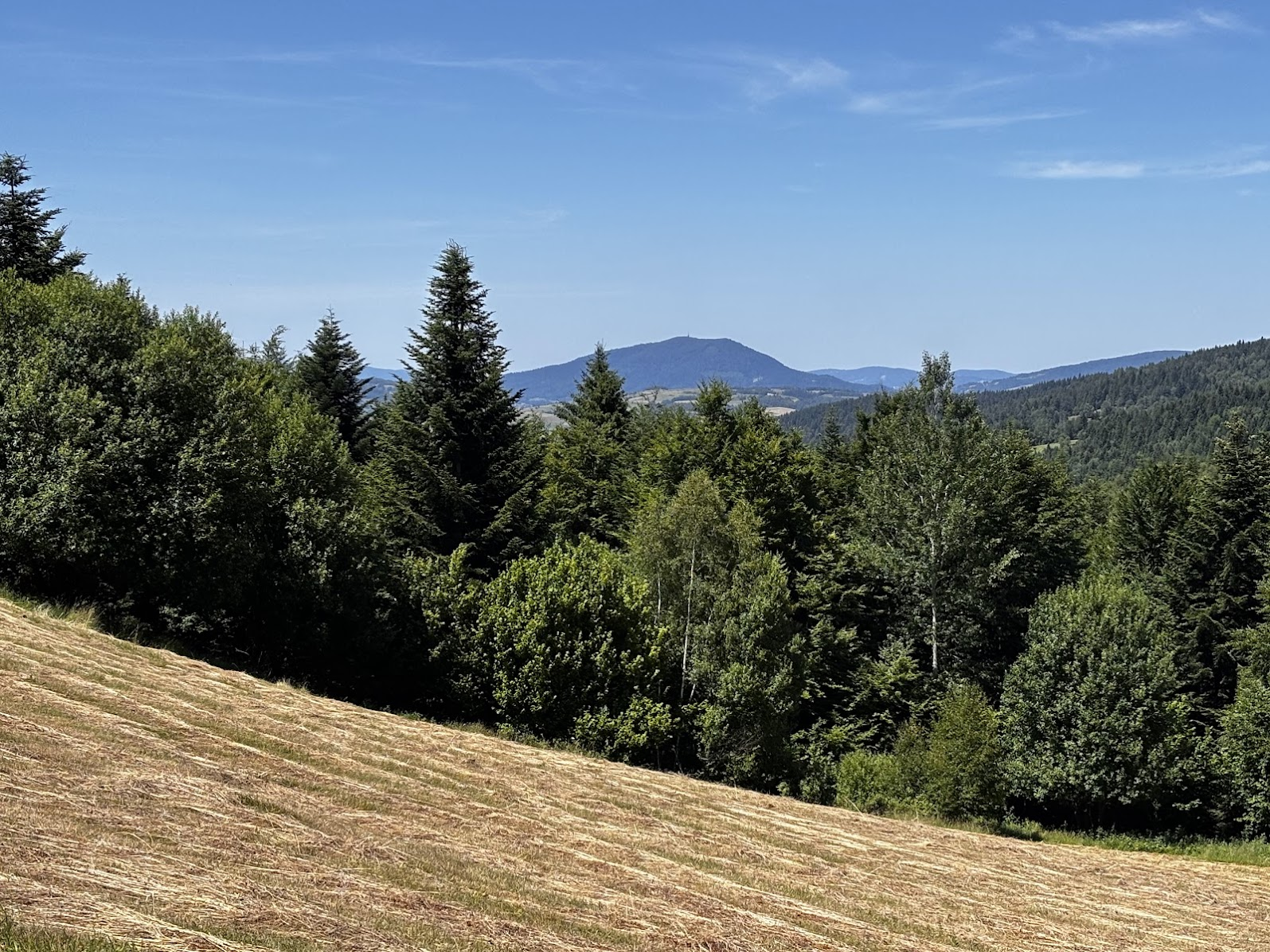 12:17 - kilometr 19,8. Polana Przysłopek (Beskid Wyspowy), w tle widok na Luboń Wielki