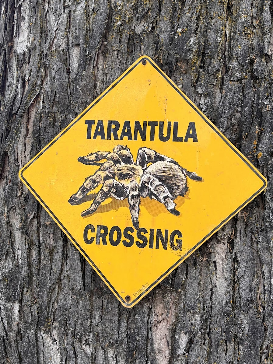 Sign in Coarsegold, CA