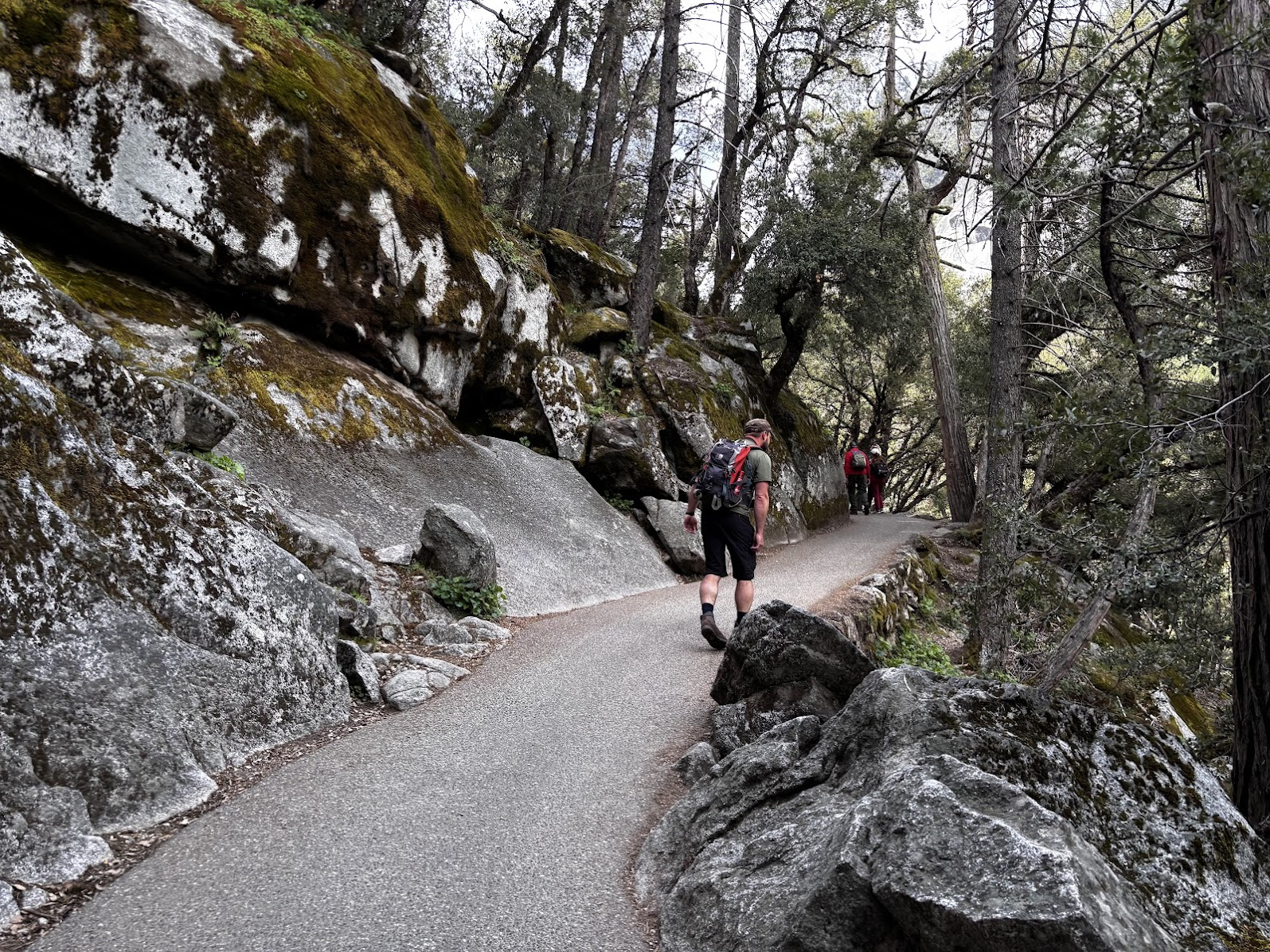 Mist Trail