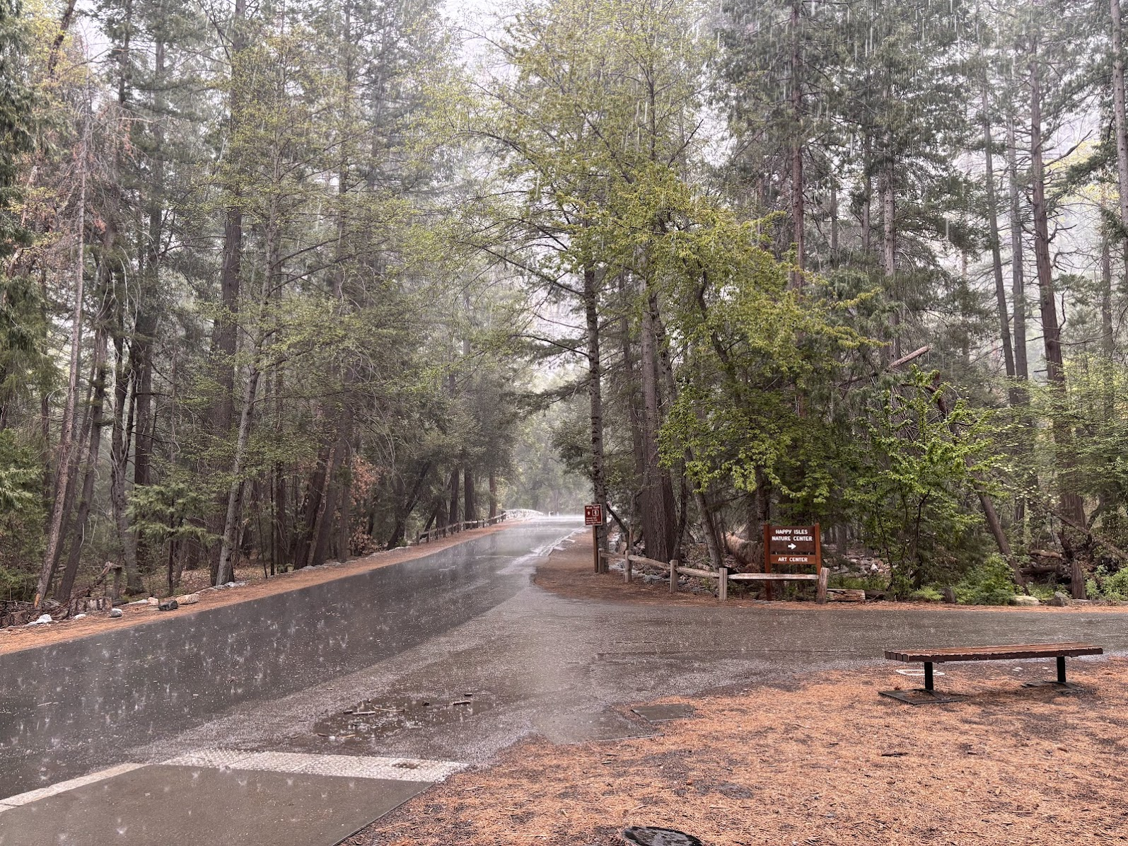 Rainfall in Yosemite Valley